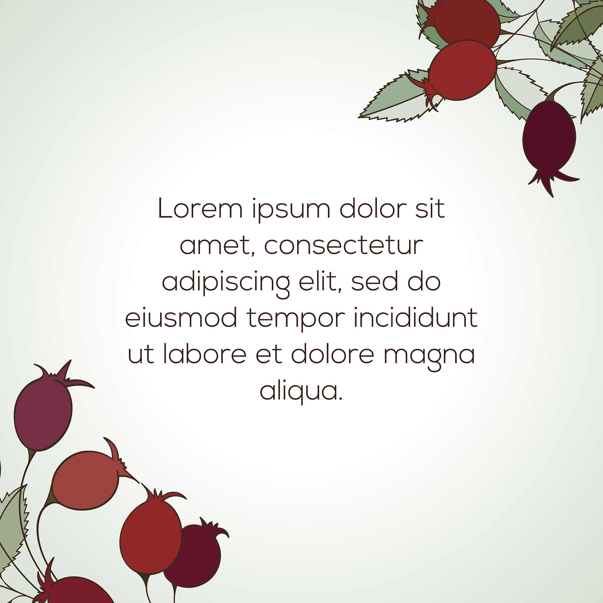 A Cherry-Inspired Wednesday: Writer Finds Inspiration in the Unexpected