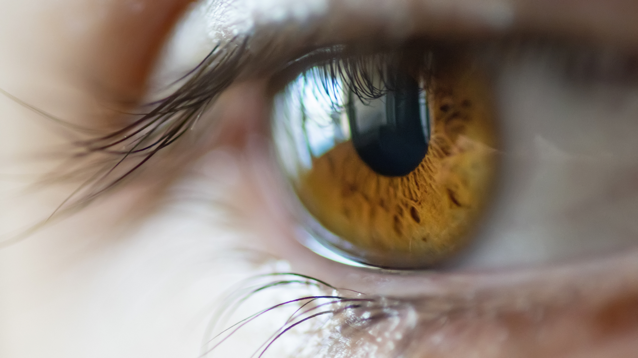 extreme close up of brown human eye