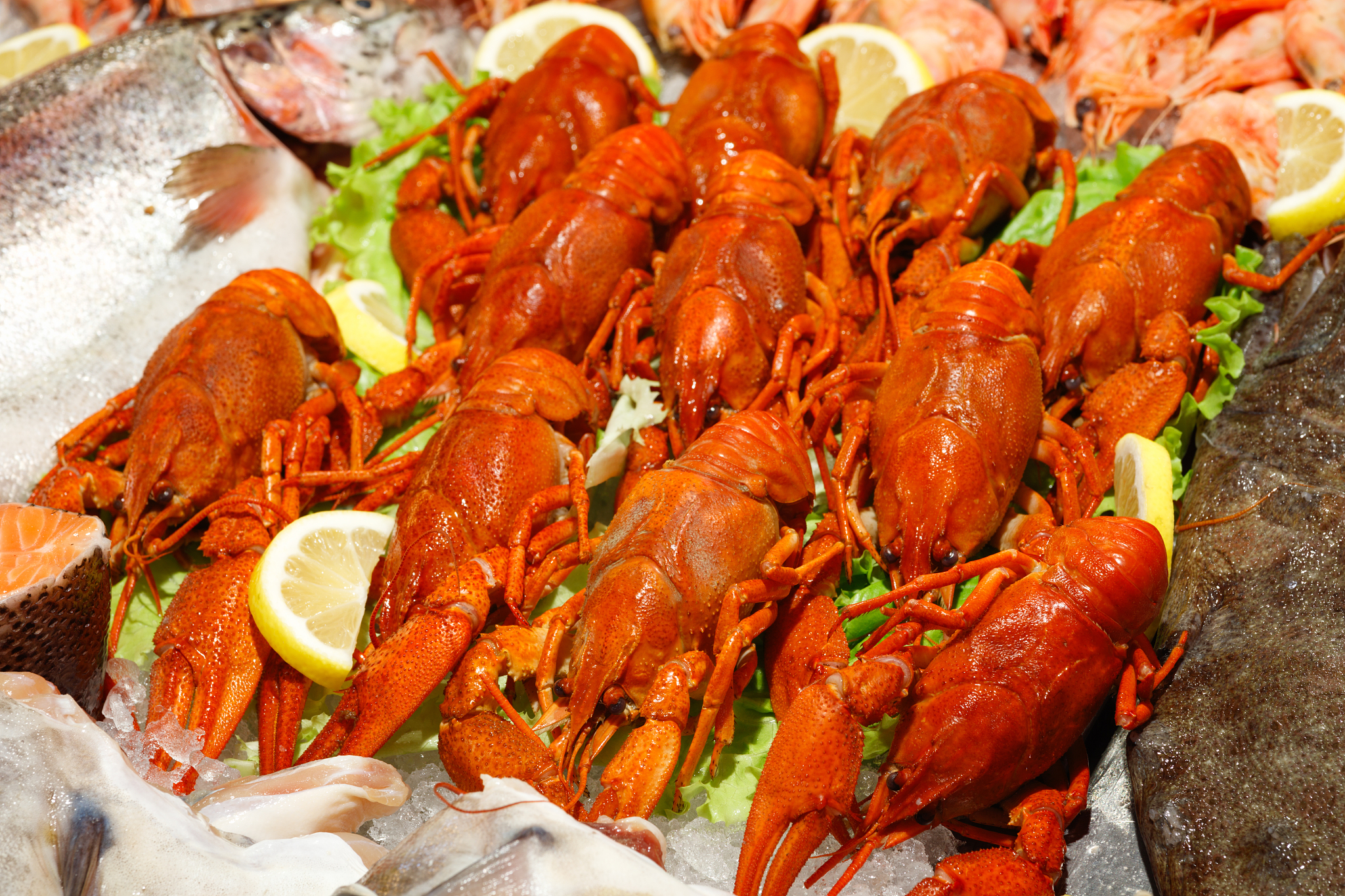 fresh jumbo crayfish in the market showcase