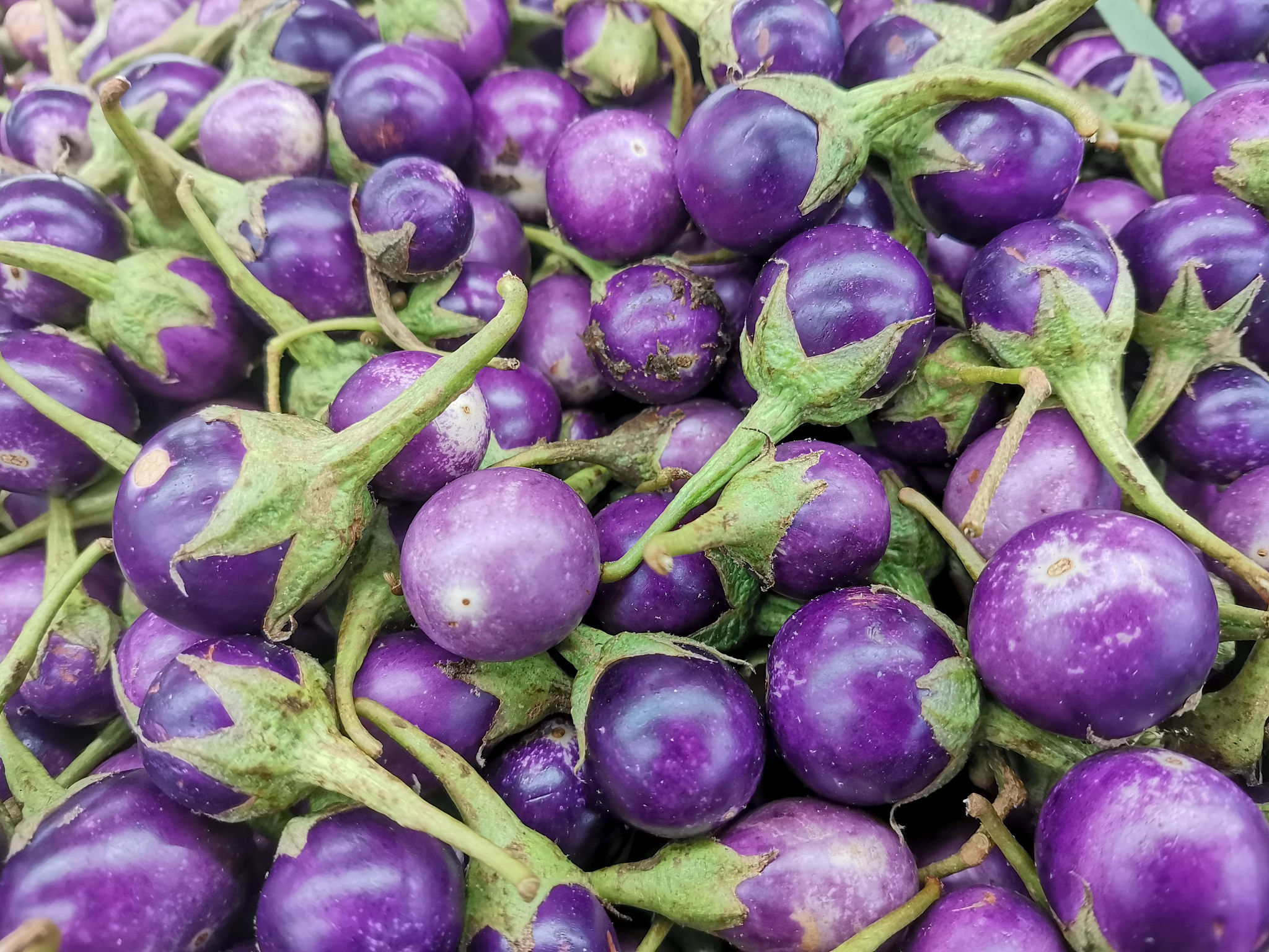 为什么洗某些水果蔬菜水会变深紫色？