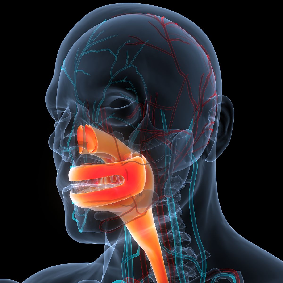 为什么口臭自己闻不到