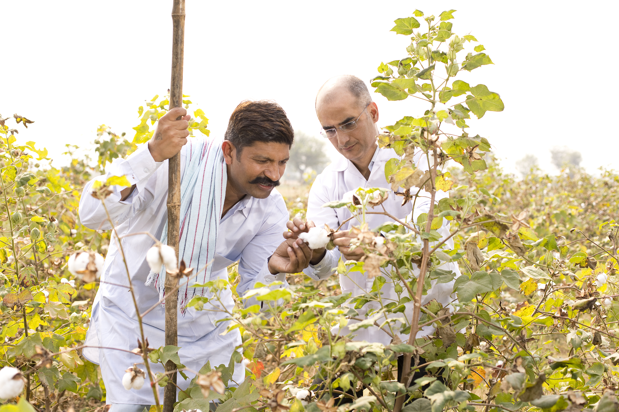 重庆第二农业学校专业介绍：热门专业及未来发展方向