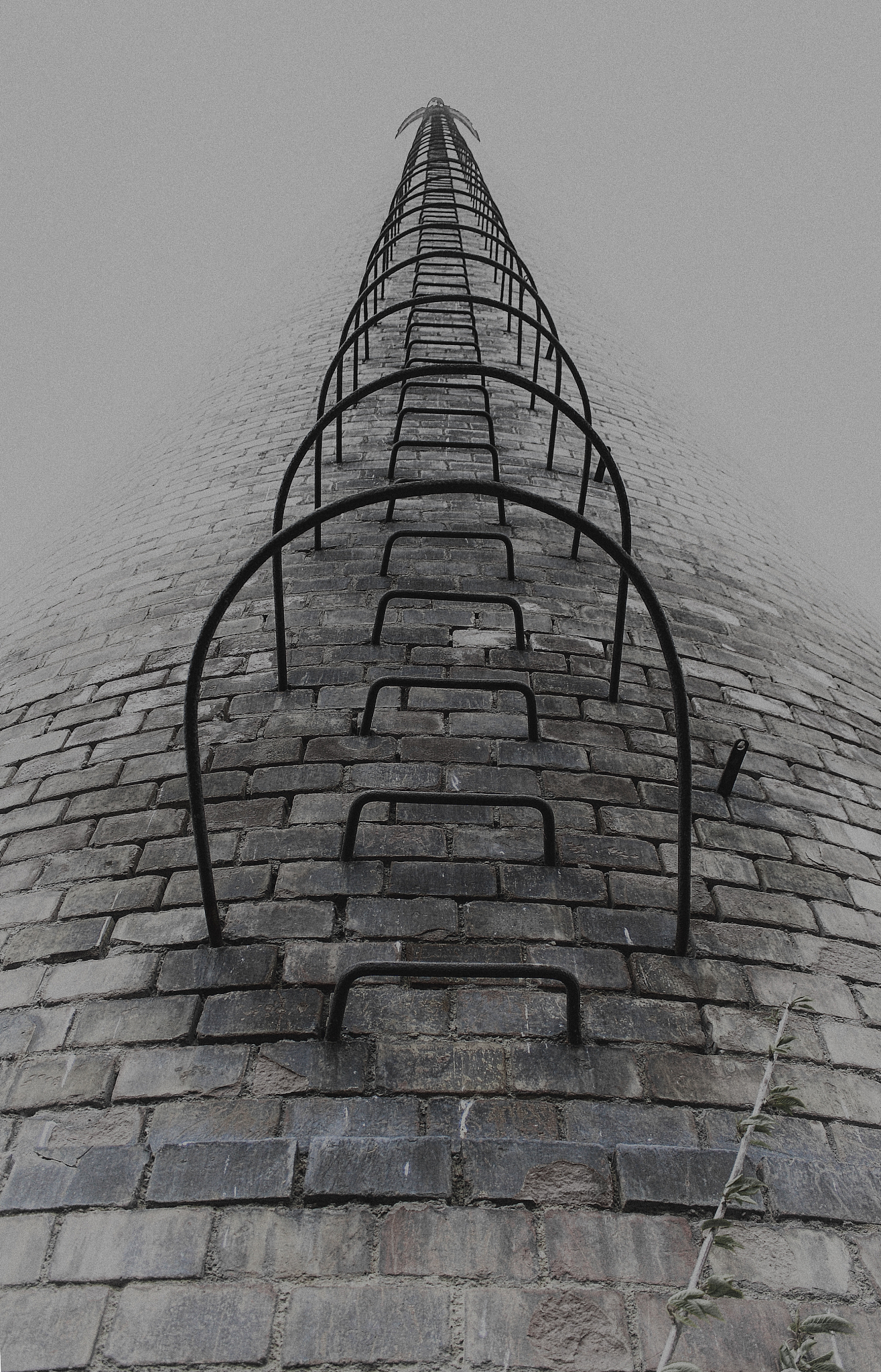 它们飞得这么低看不到遥远的家改为陈述句