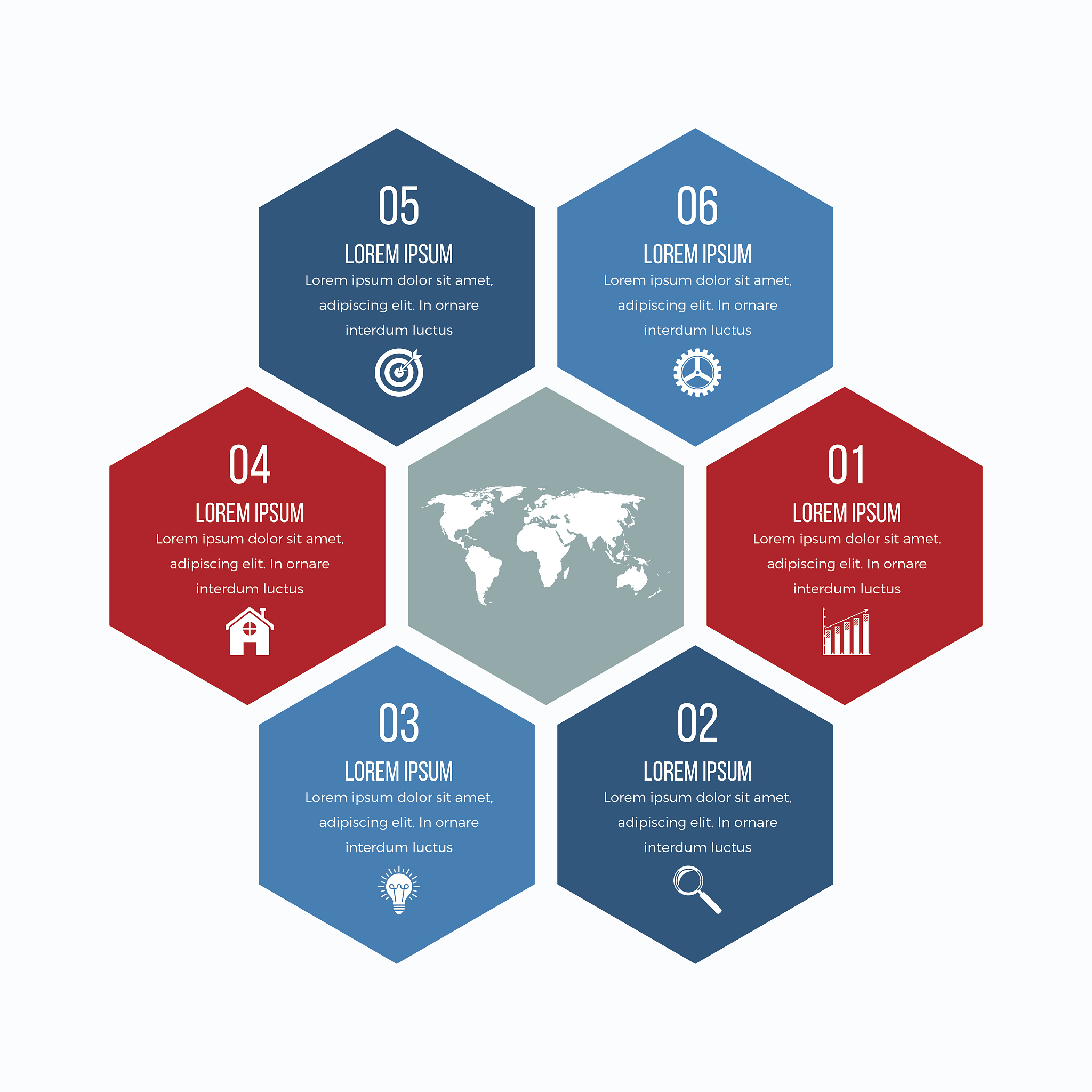 vector illustration infographics six hexagons