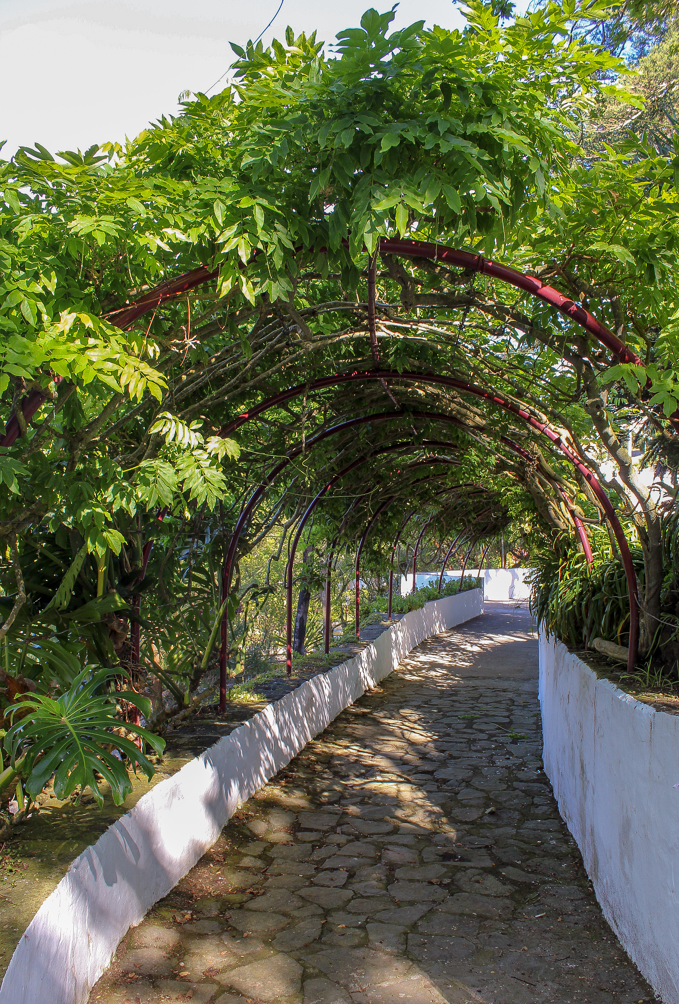 沈阳农业大学园林专业怎么样？教学质量解析