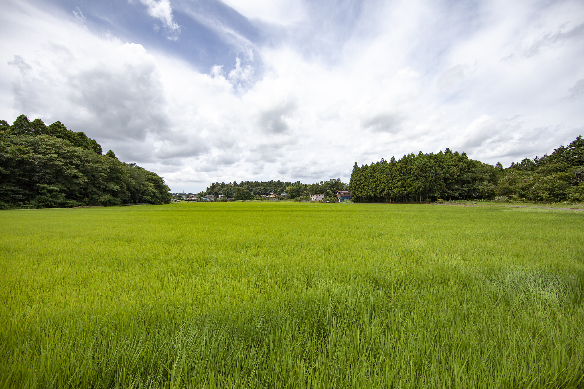 黑龙江农业职业技术学院单招药剂专业：专业介绍与选择建议