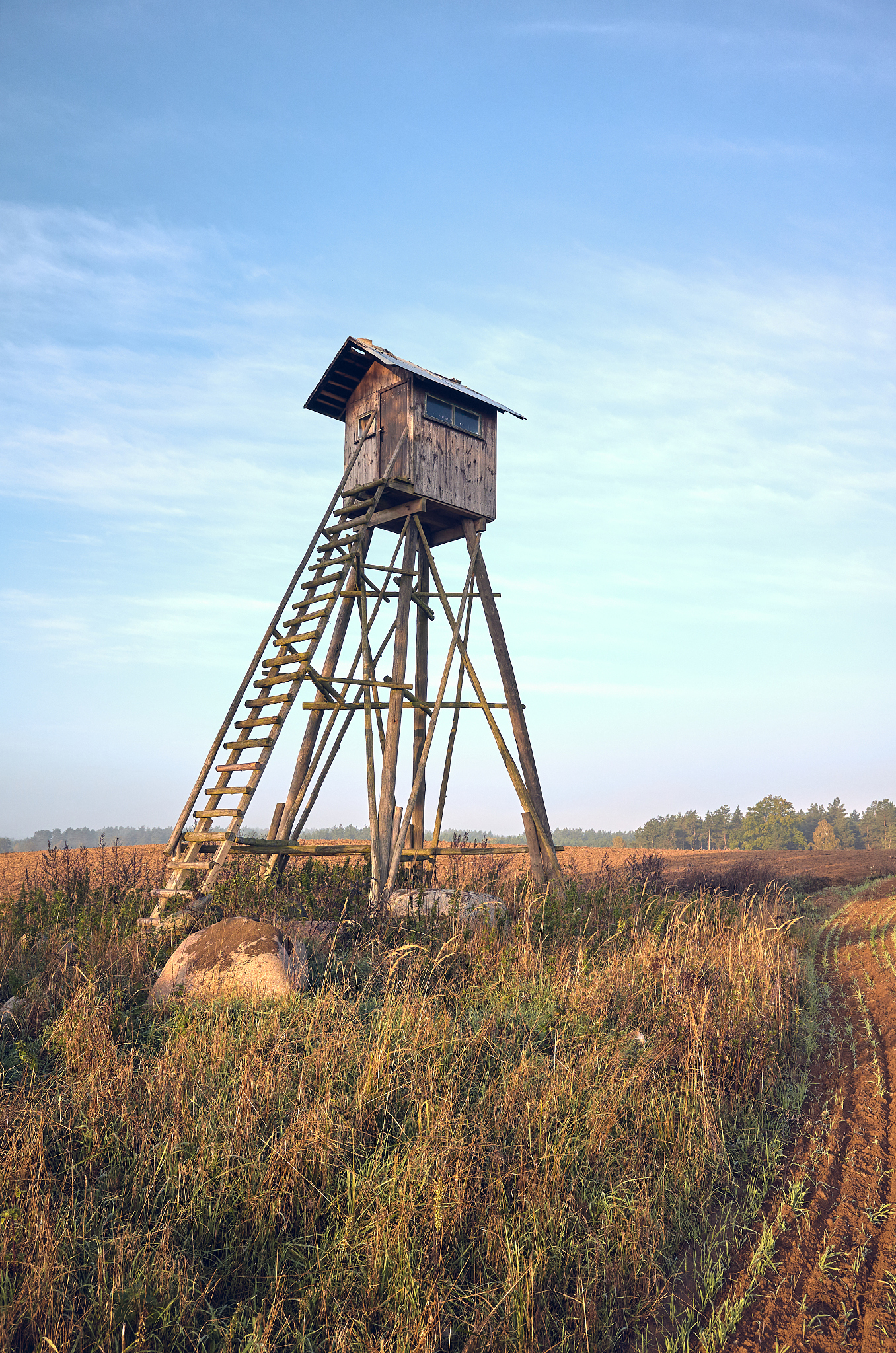 elevated wooden hunting blind on a field in early morning.