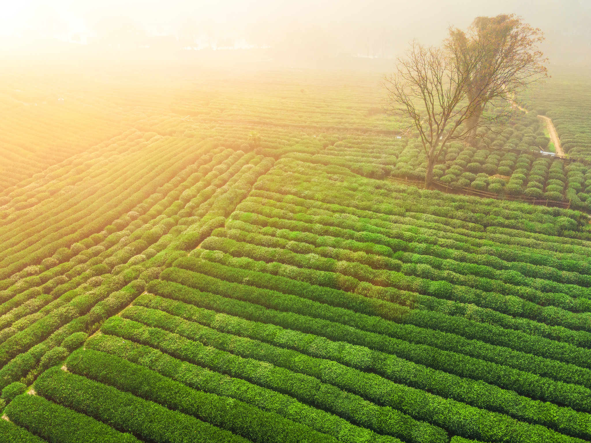 杭州就业最好的中专学校推荐：2022年热门专业和就业前景