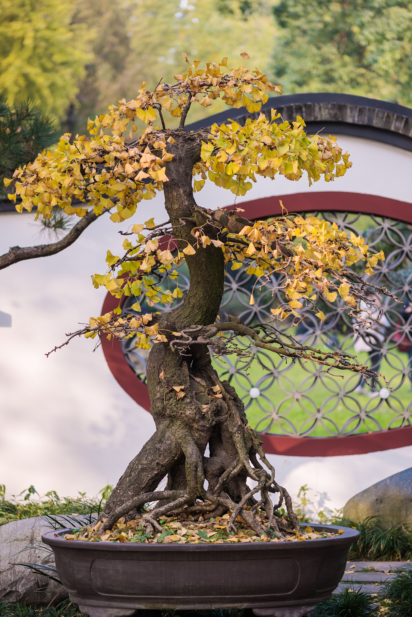 成都信息工程大学银杏酒店管理学院环境设计专业介绍 - 培养未来环境设计人才