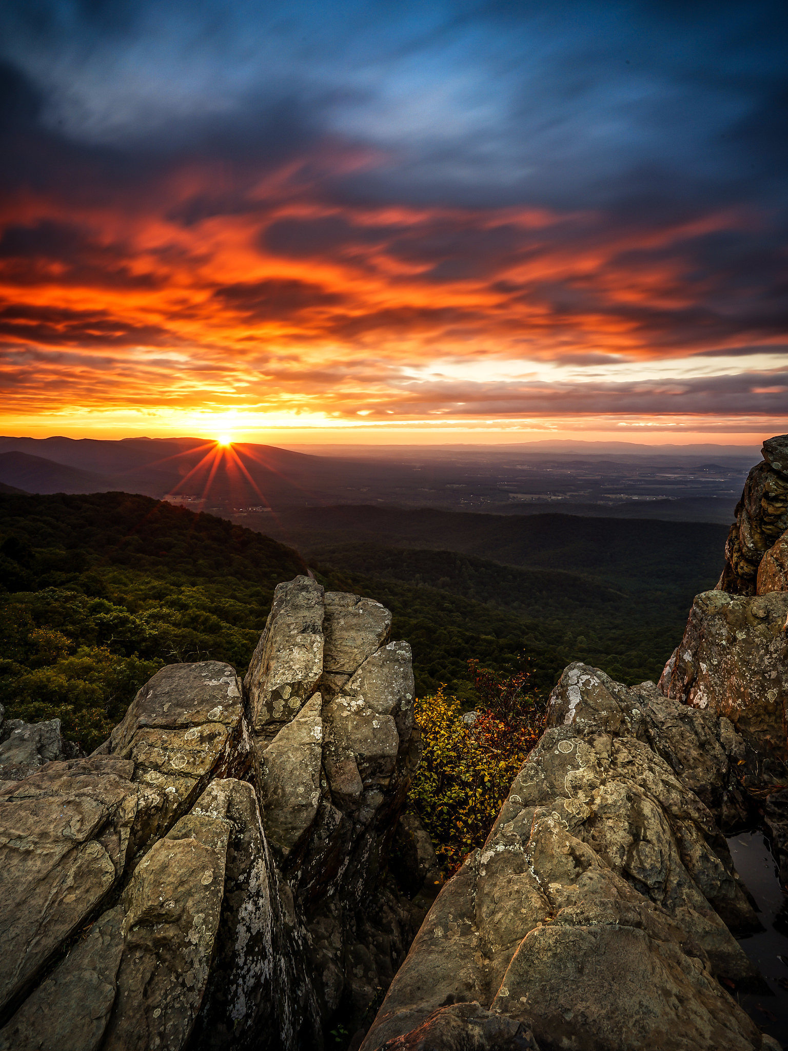 表示旷达的字有哪些