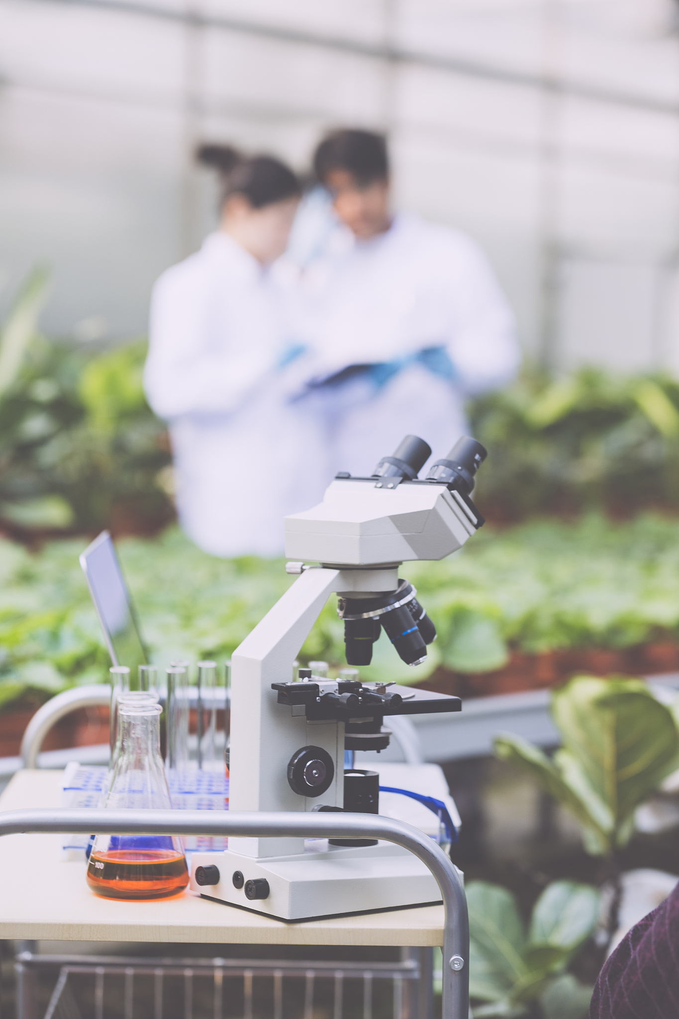 对植物保护专业来说科学精神的重要性有哪些？