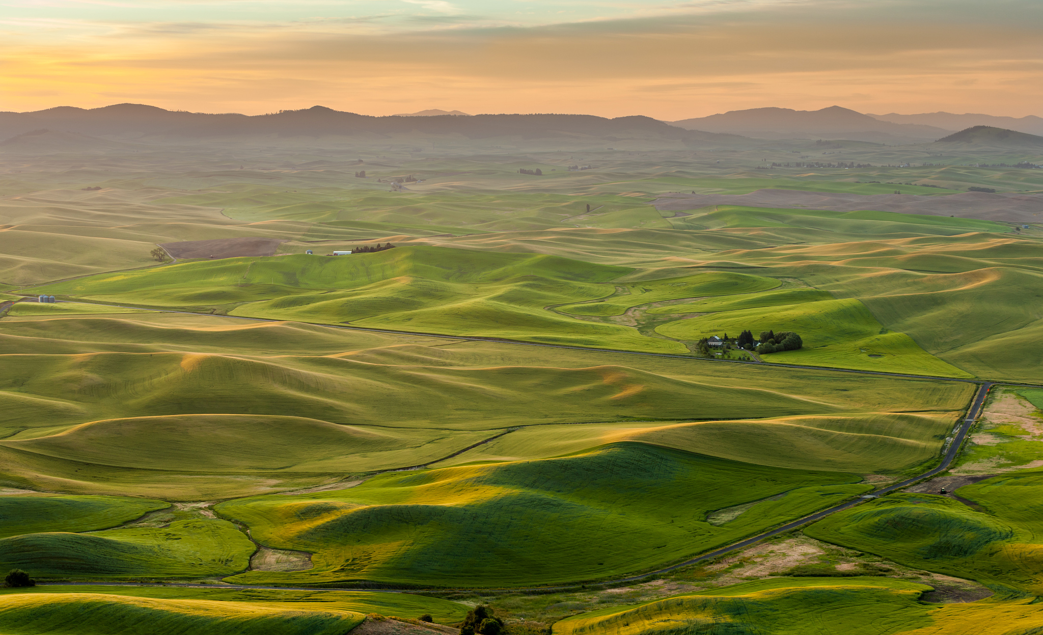 beautiful landscape of crop field in palouse in the morning, was
