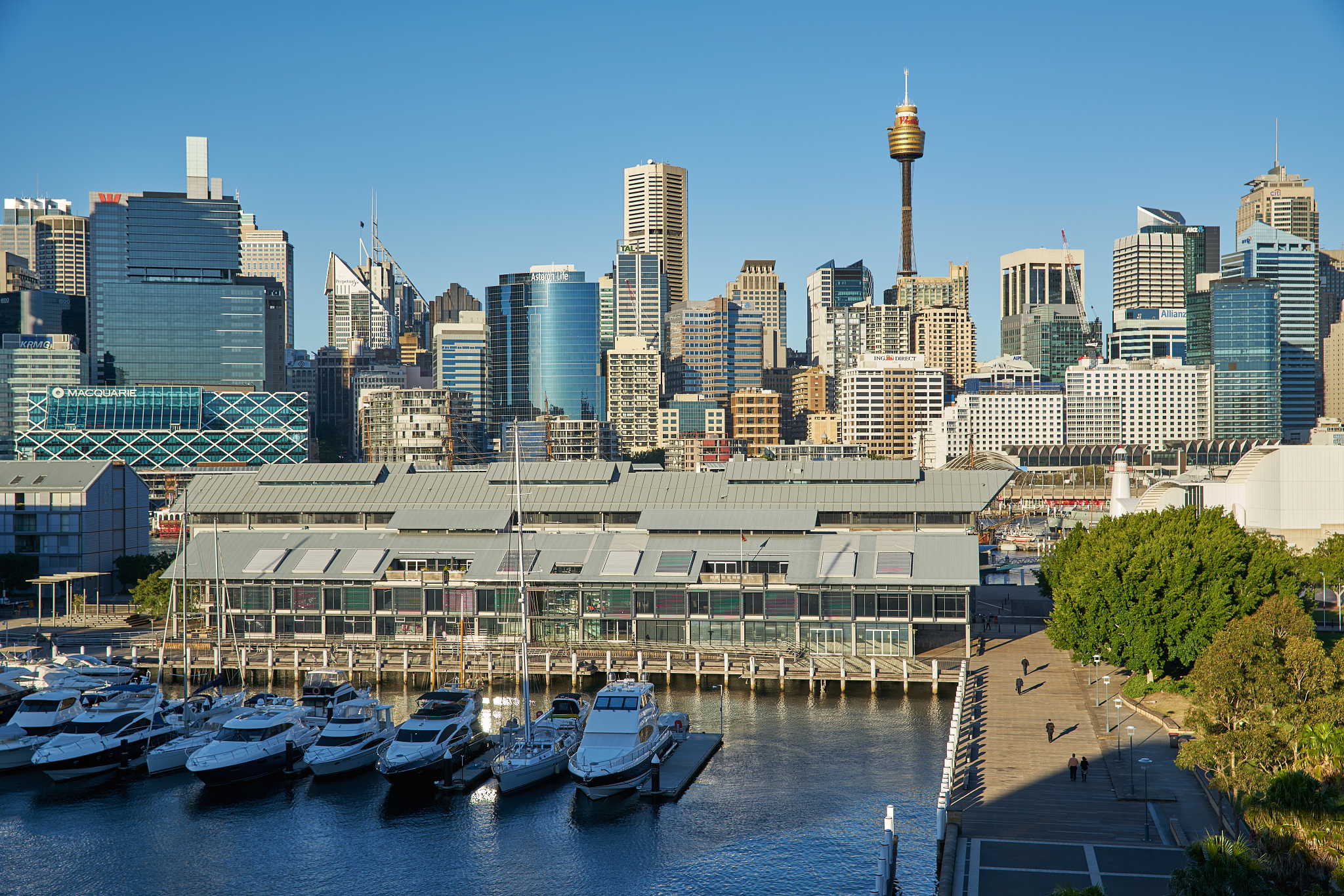 达拉斯有什么好玩的？