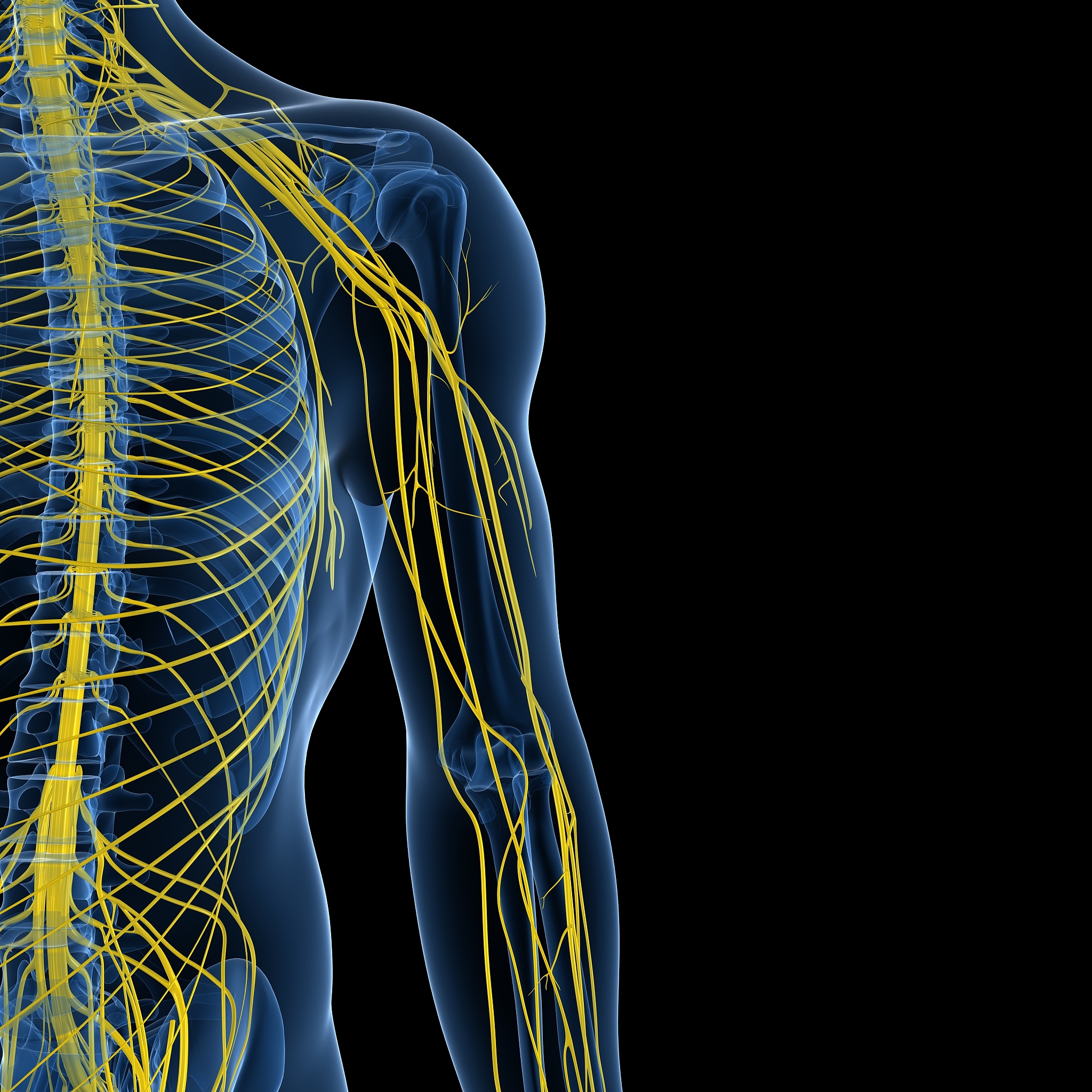 听觉诱发电位一般在刺激____皮层测量