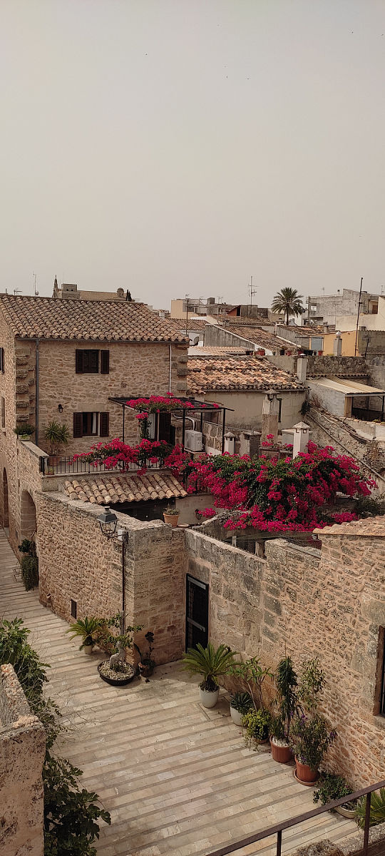 需要更多信息才能提供单位意见