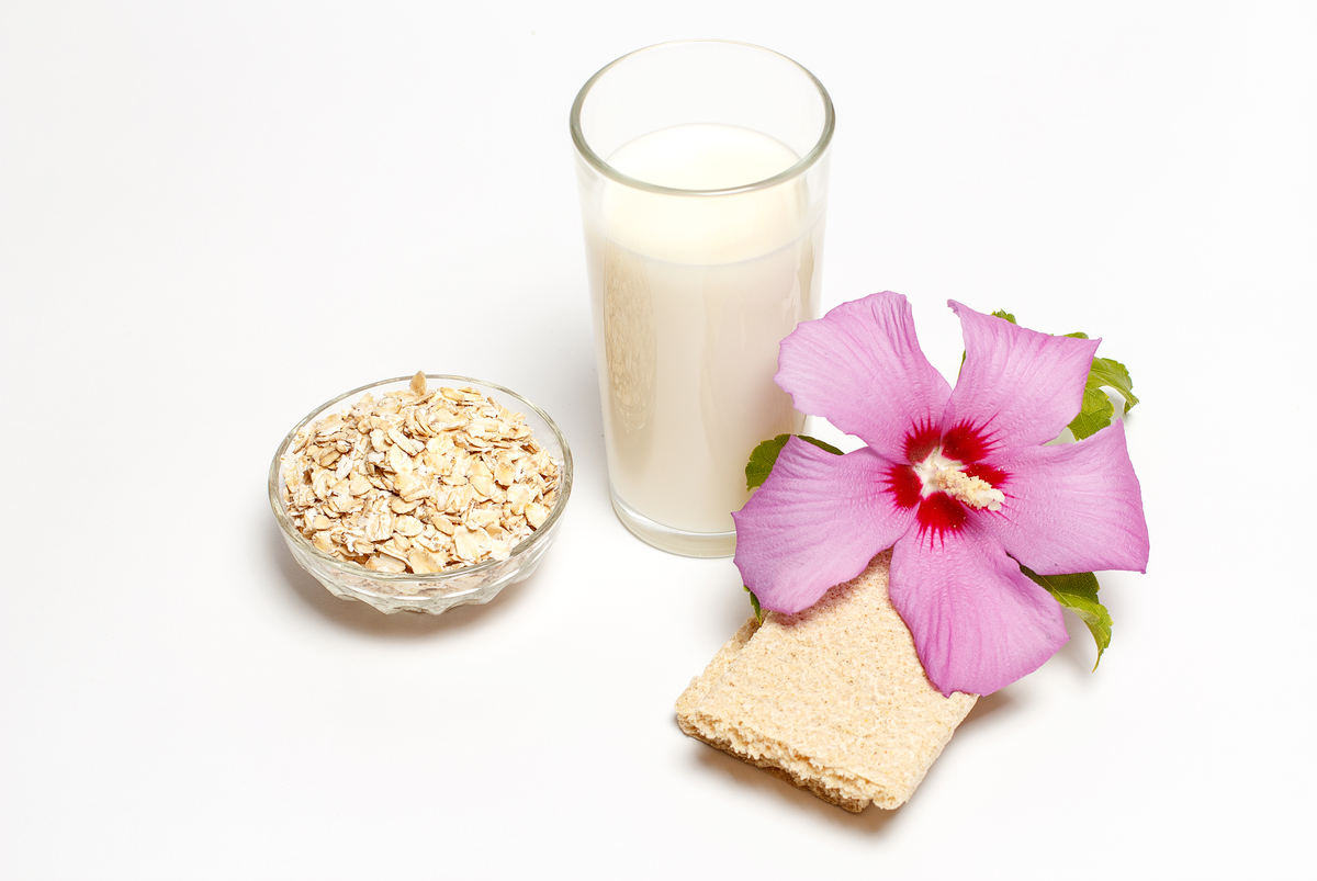 豆奶推荐｜健康美味，营养呵护 - [你的品牌名]