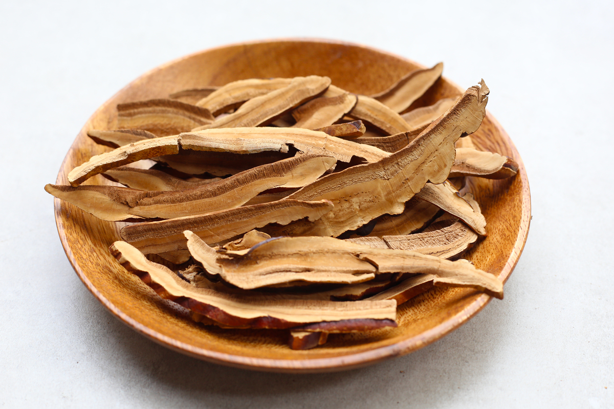 灵芝柔润护肤液适合什么年龄段？