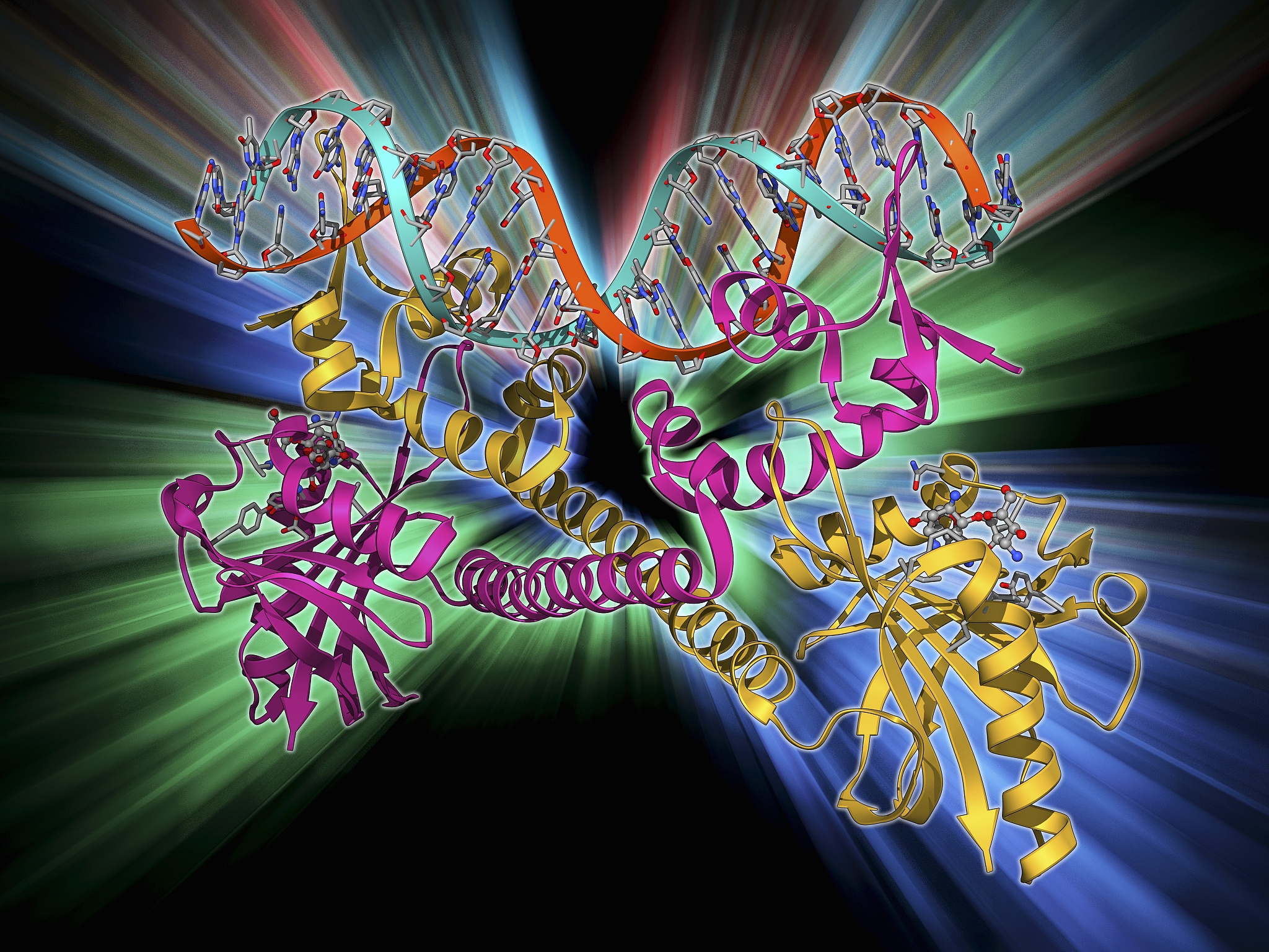 连接酶：DNA 和 RNA 连接的关键
