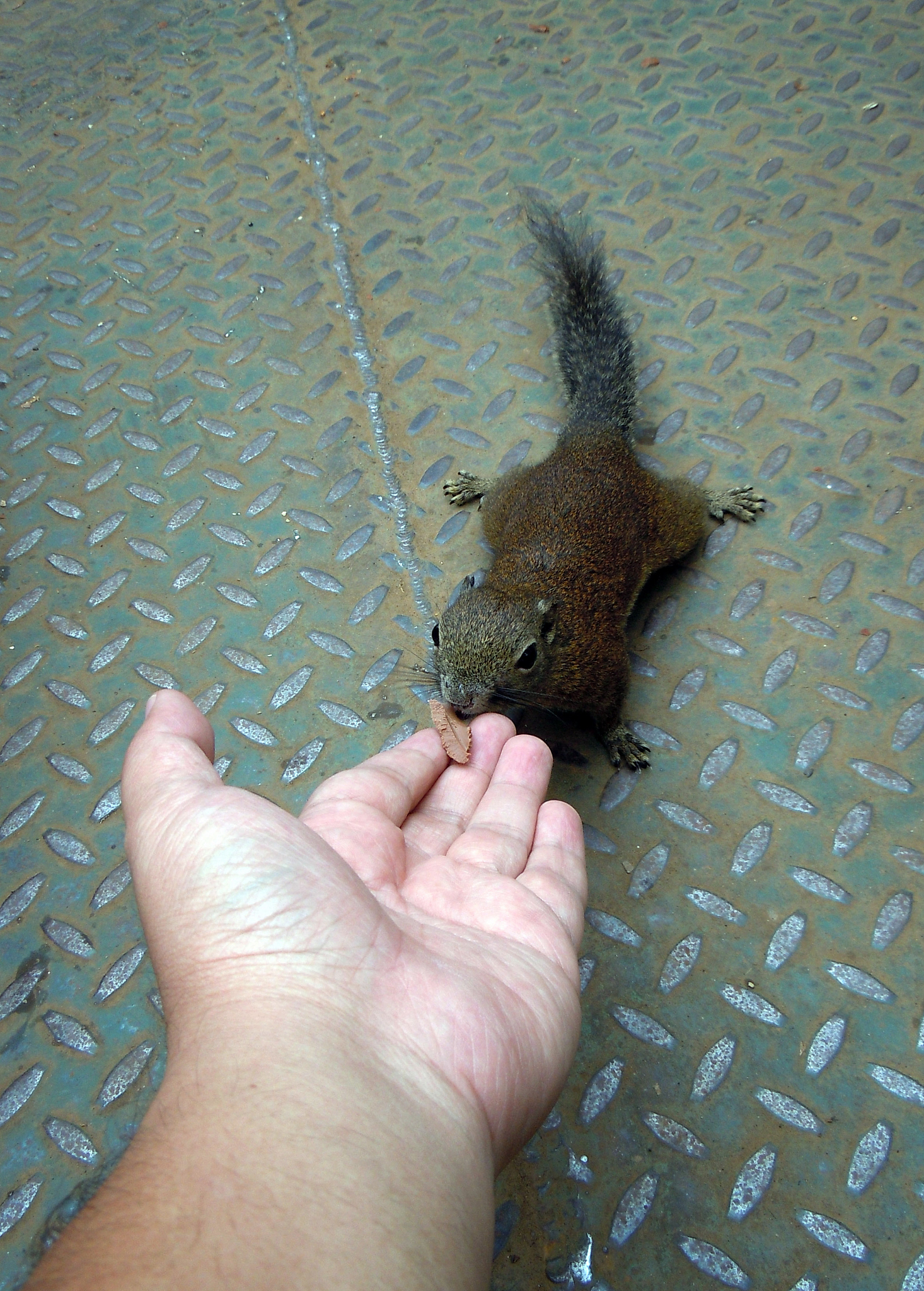 对方说 你乃绝世天才我只能说牛逼怎么回复