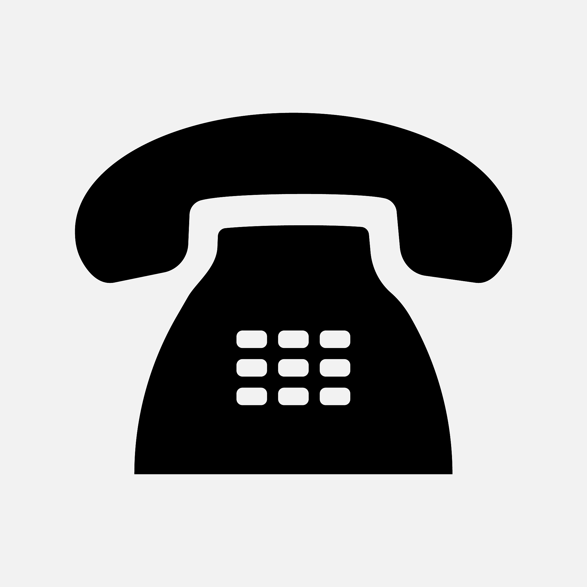 phone icon