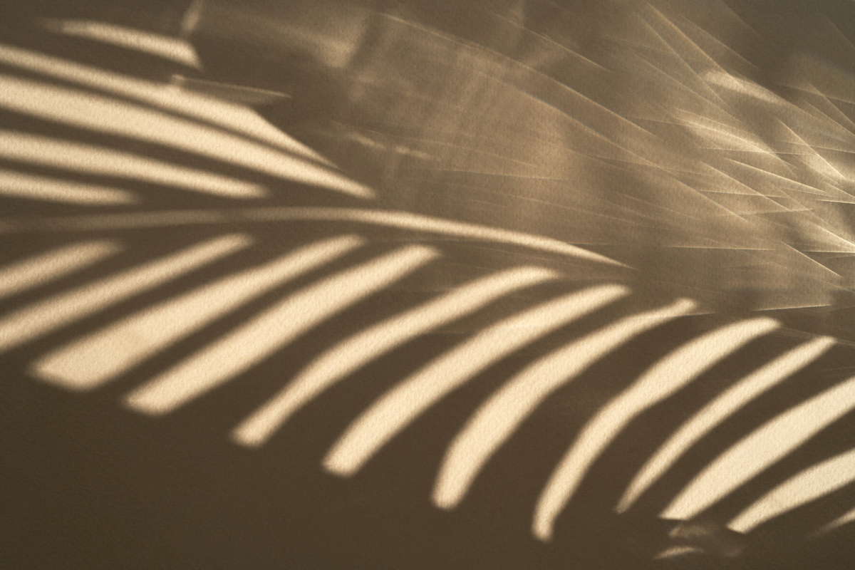 摄影构图：提升摄影作品艺术性的关键