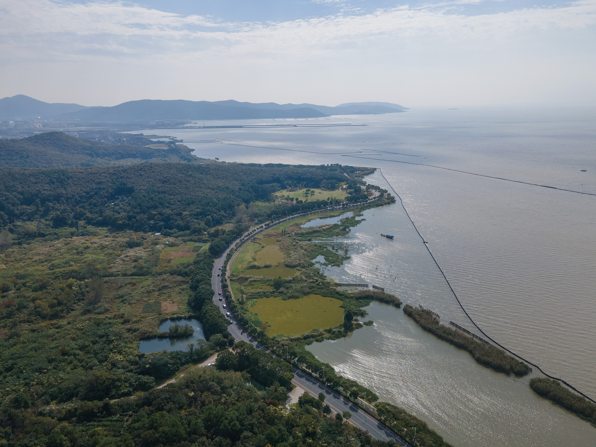 对儒家孝道观的认识100字