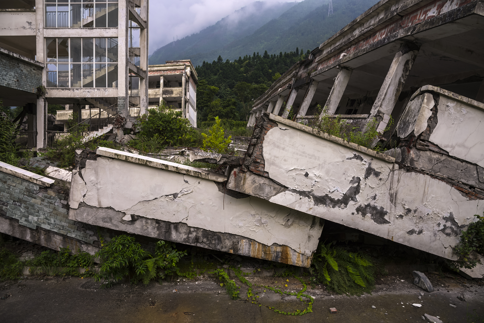 乐山旅游学校2022年招生条件是什么怎么样