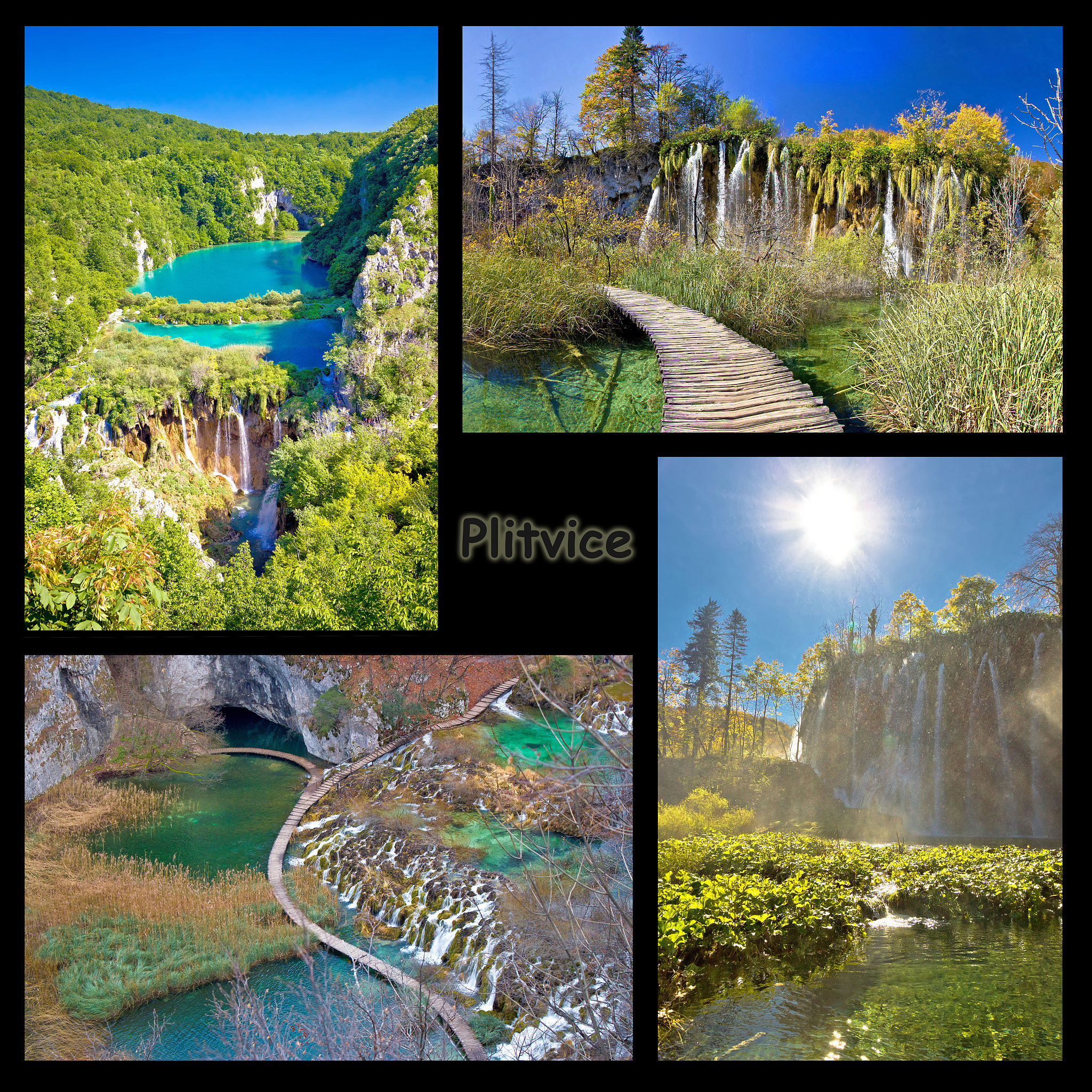 Shennongjia English guide speechShennongjia Helloladies and gentlemenallow me to introduce myself to you firstMy name is bruce zhangso you can call me bruce First of allI will give you a brief introdu