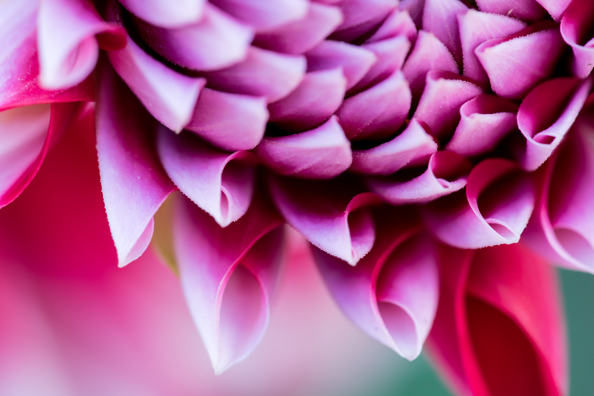 随便出一道高三数学题已知函数$fx=frac1x^2+1$则$int_0^1fxmathrmdx$的值为多少？继续