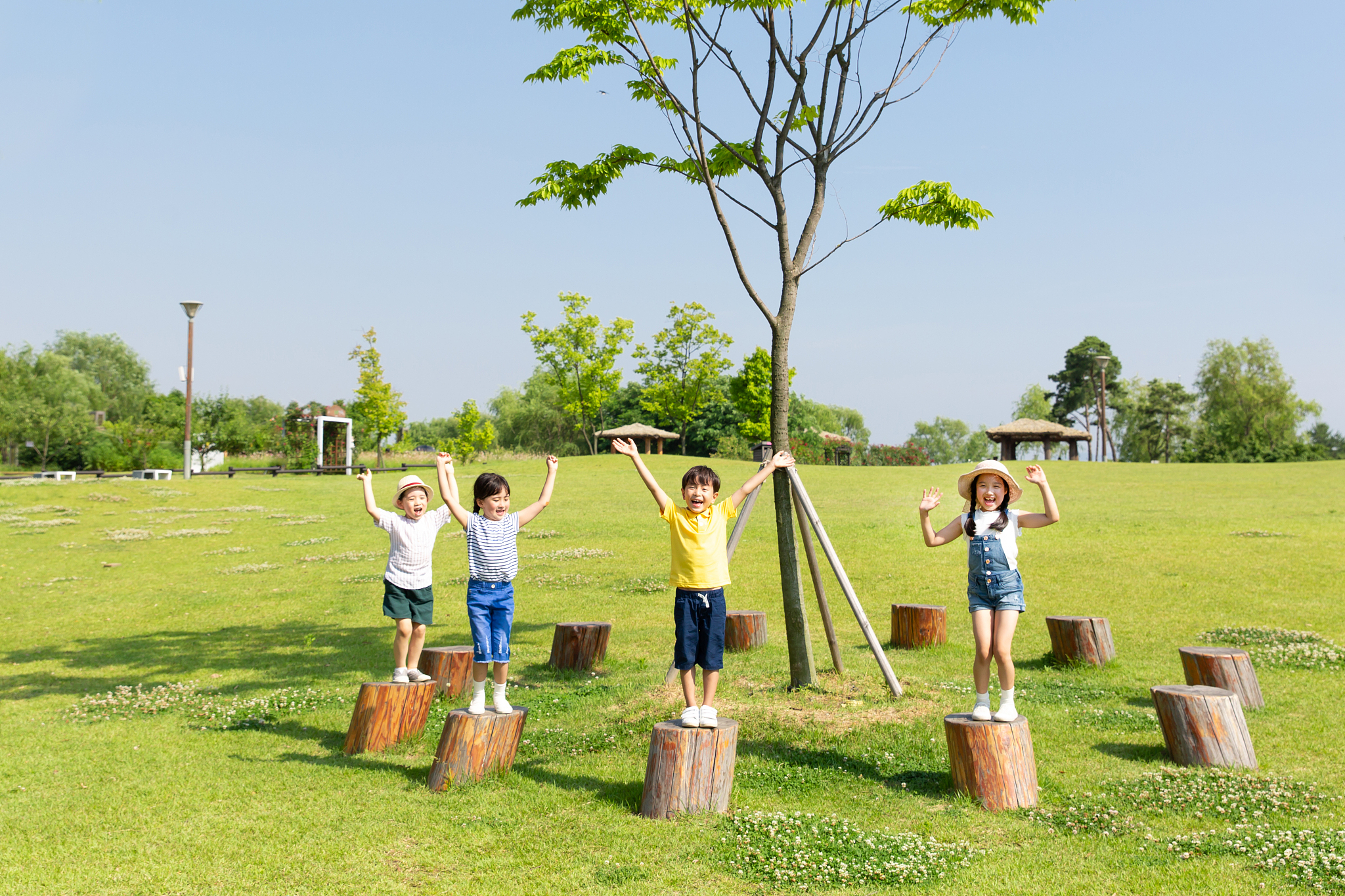 儿童花园童车种植体验：让孩子爱上自然，收获成长
