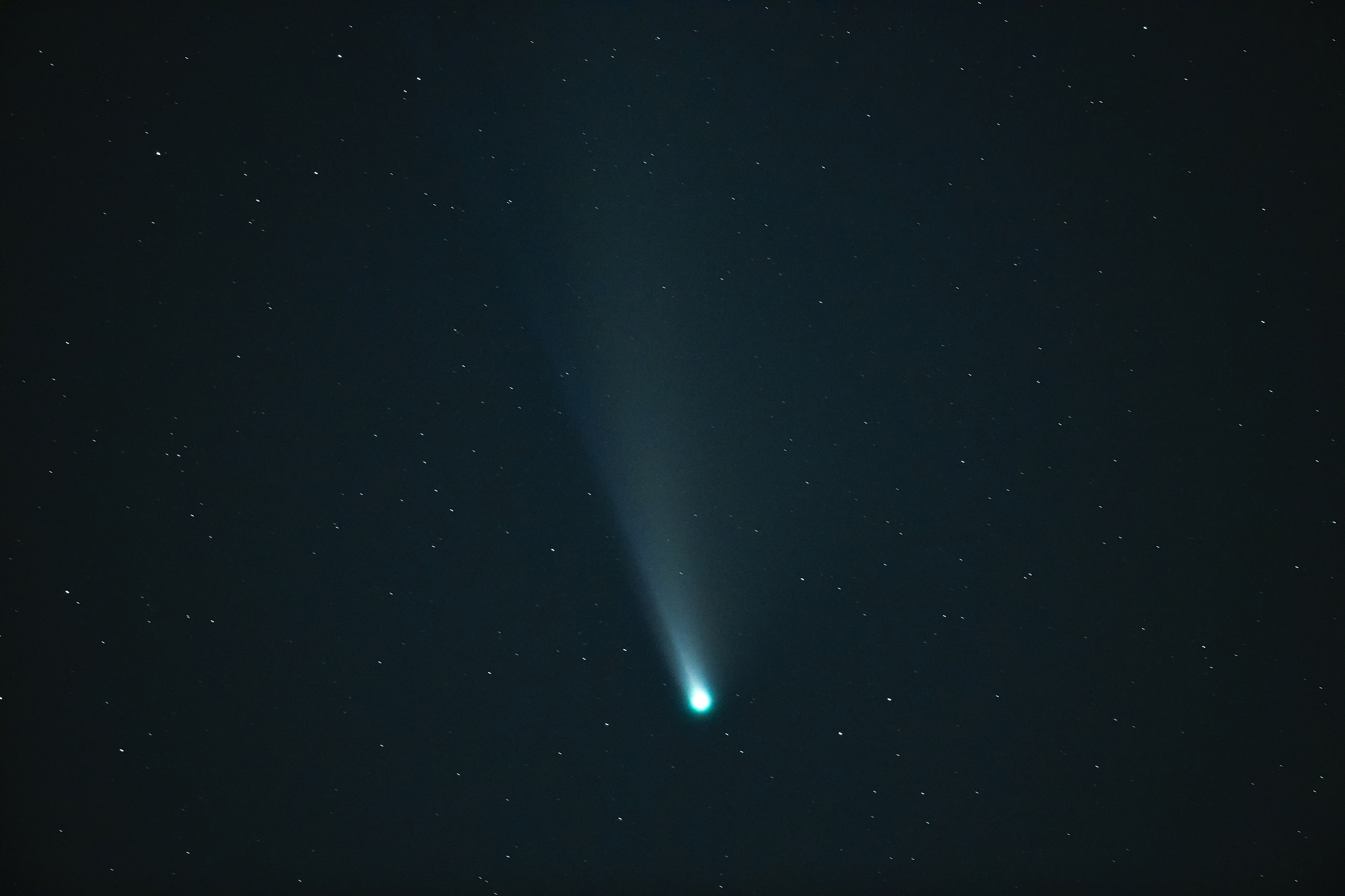 comet neowise in the dark night sky