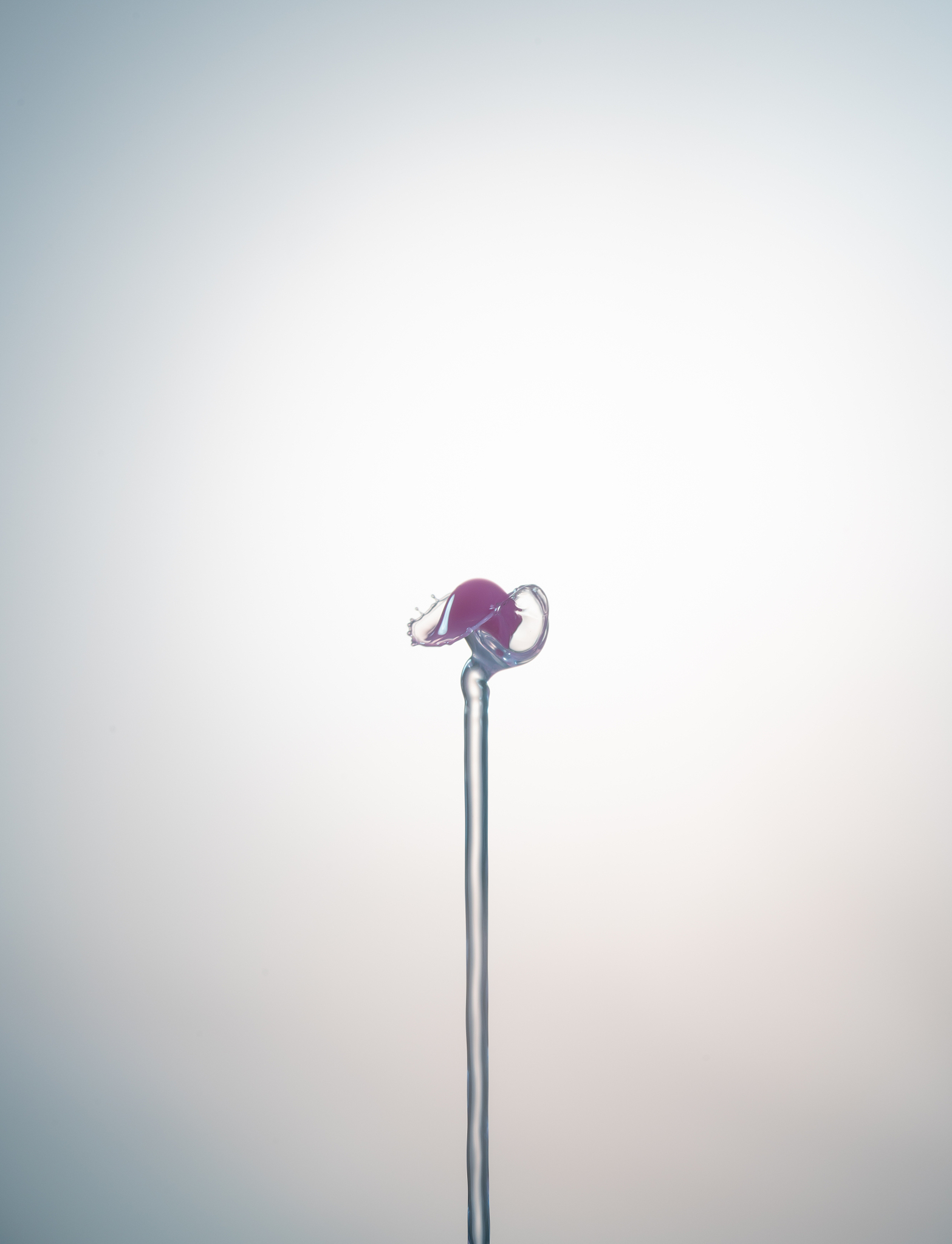 湖州学院广告学专业课程: 培养广告创意与实践能力