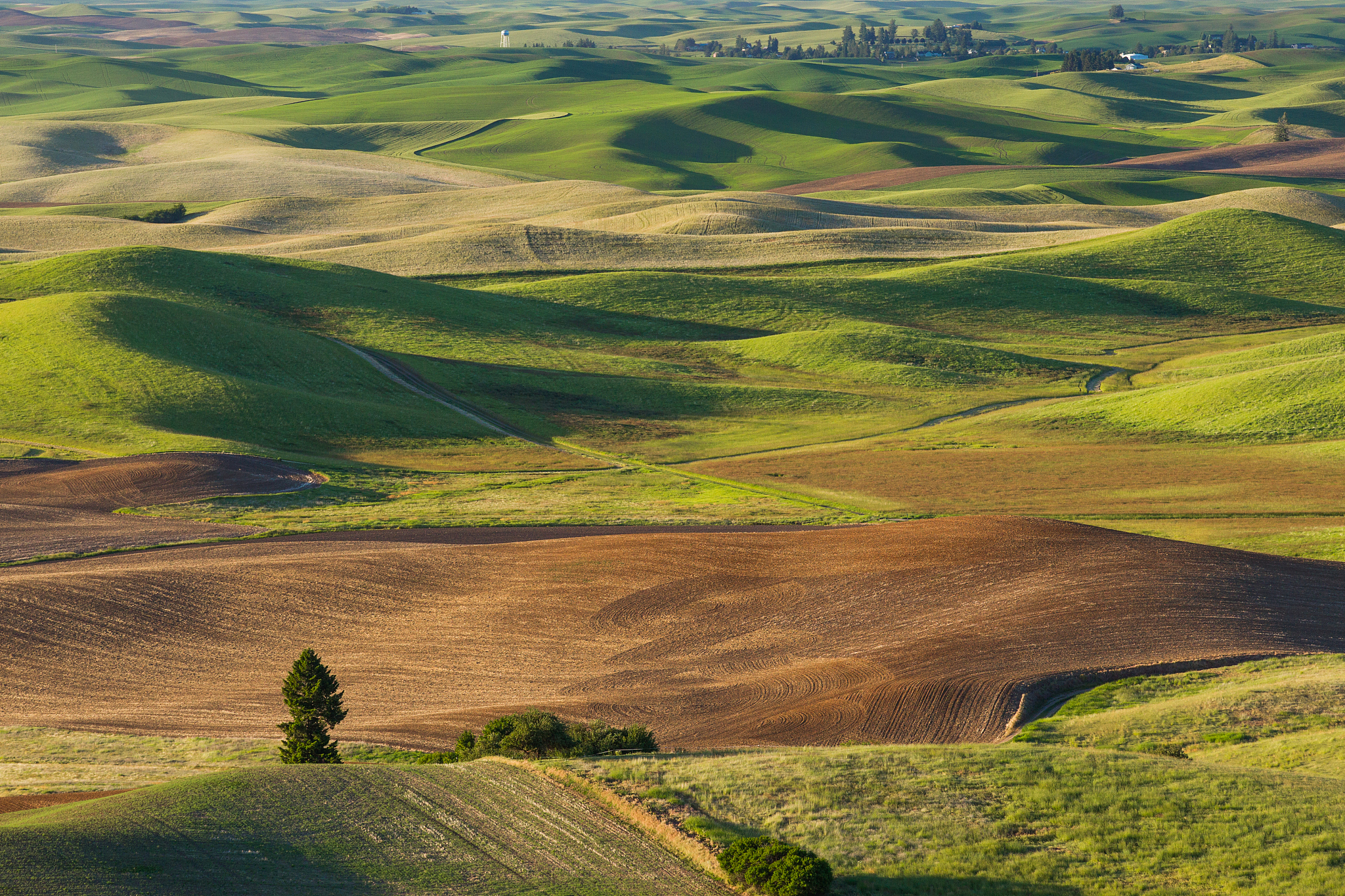 view from steptoe butte