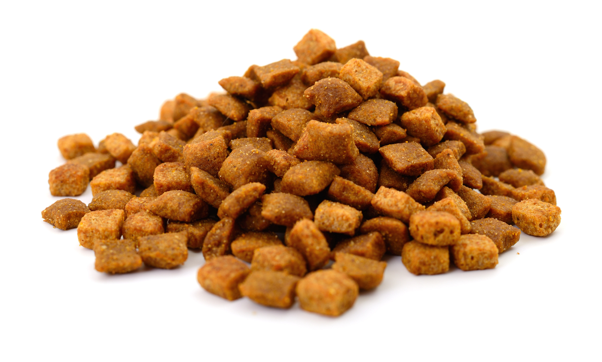 学段100字猫粮测评计划有理有据逻辑清晰简洁明了