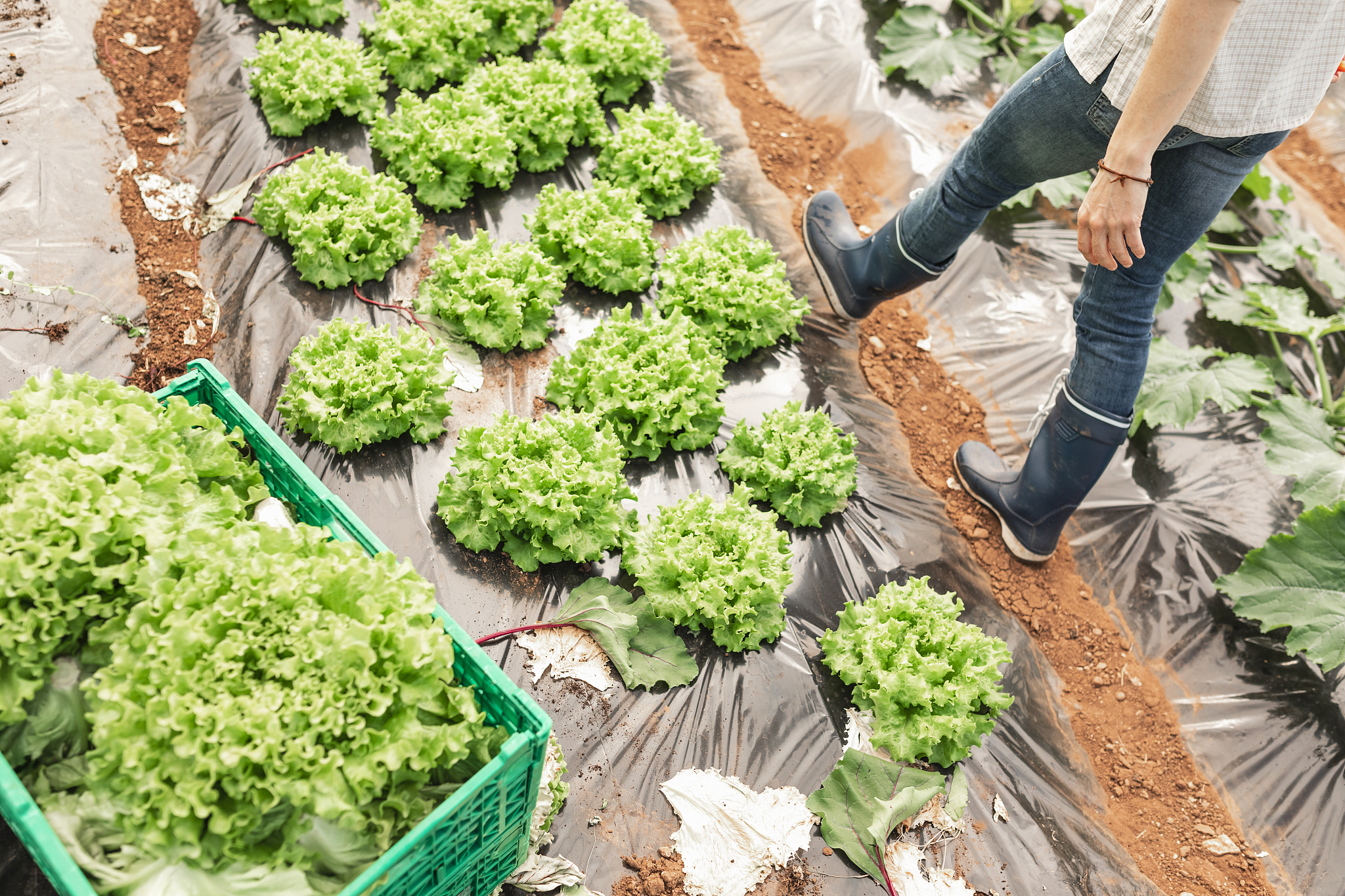 黑龙江农业经济职业学院市场营销专业怎么样？就业前景如何？