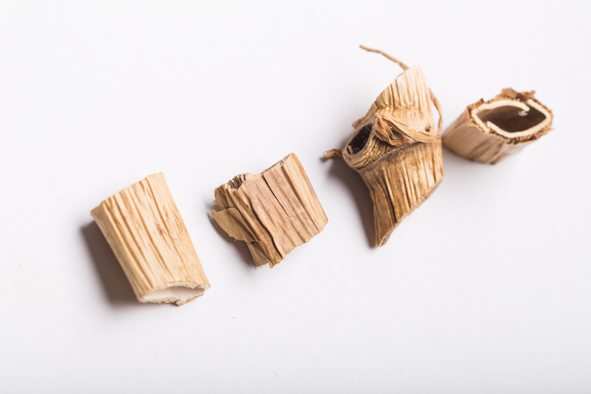 四川中医药高等专科学校怎么样？学校师资如何