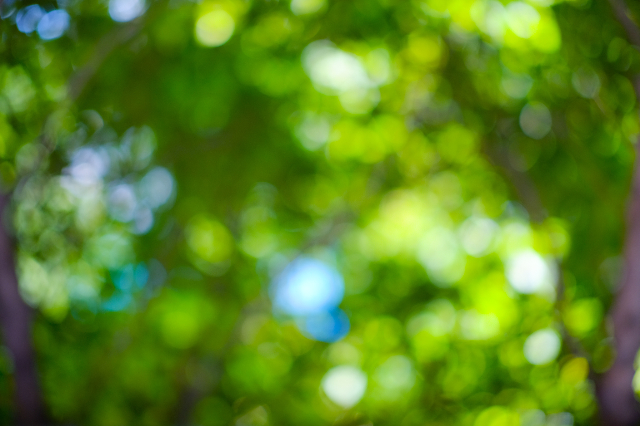 三角模糊集和隶属函数的关系