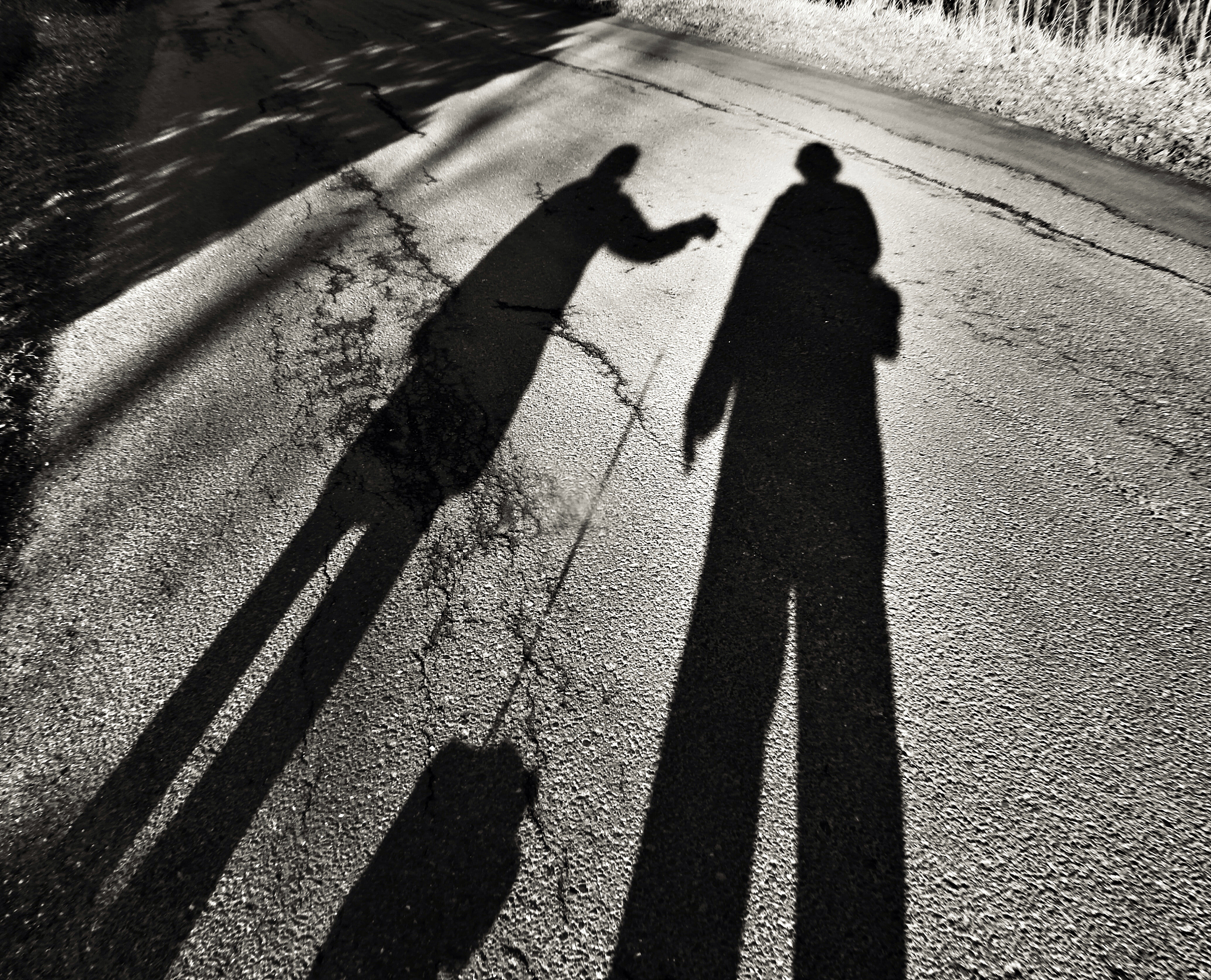 《牵手》摄影作品赏析：情感与构图的完美融合