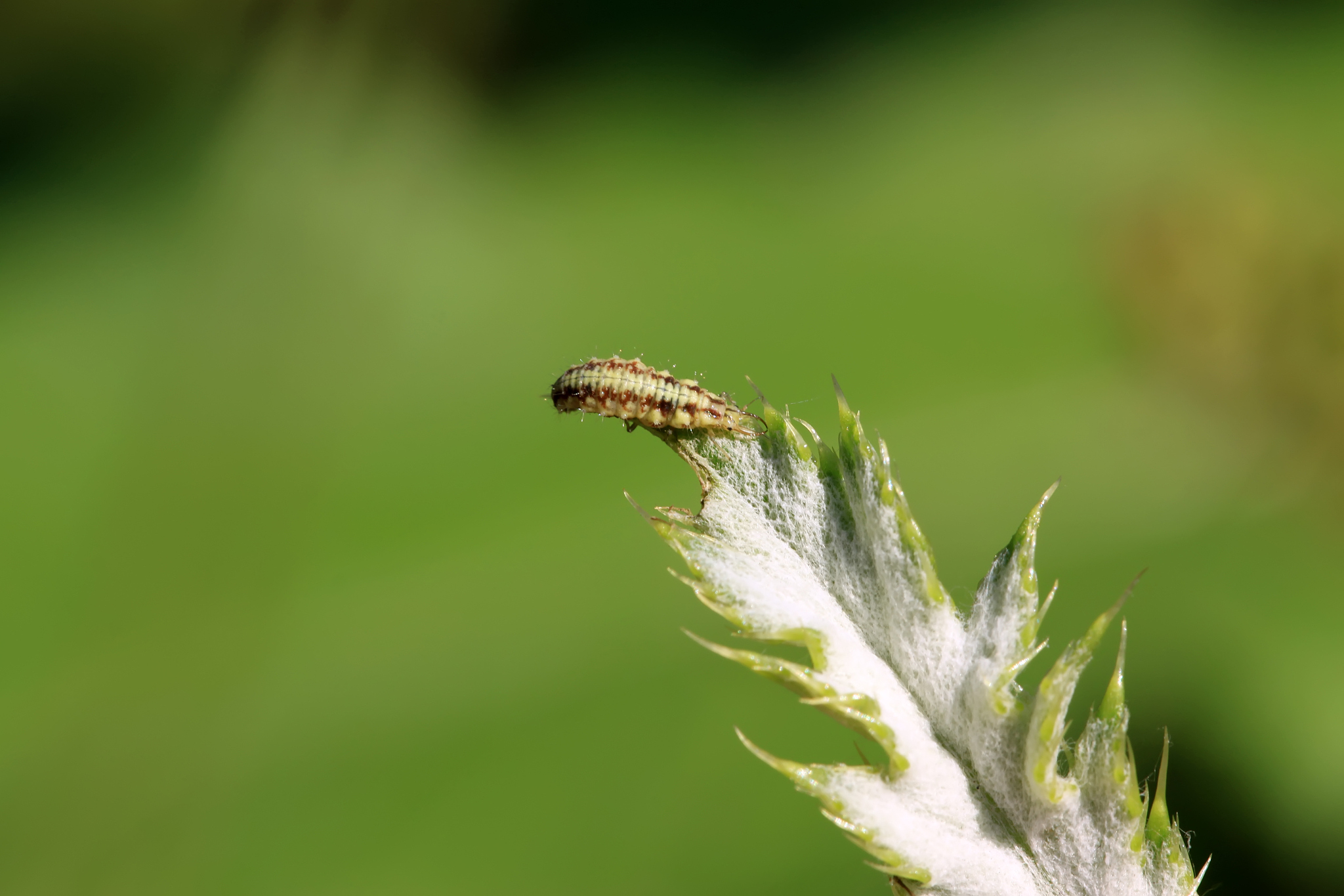 安徽理工学校2023年招生专业-怎么样