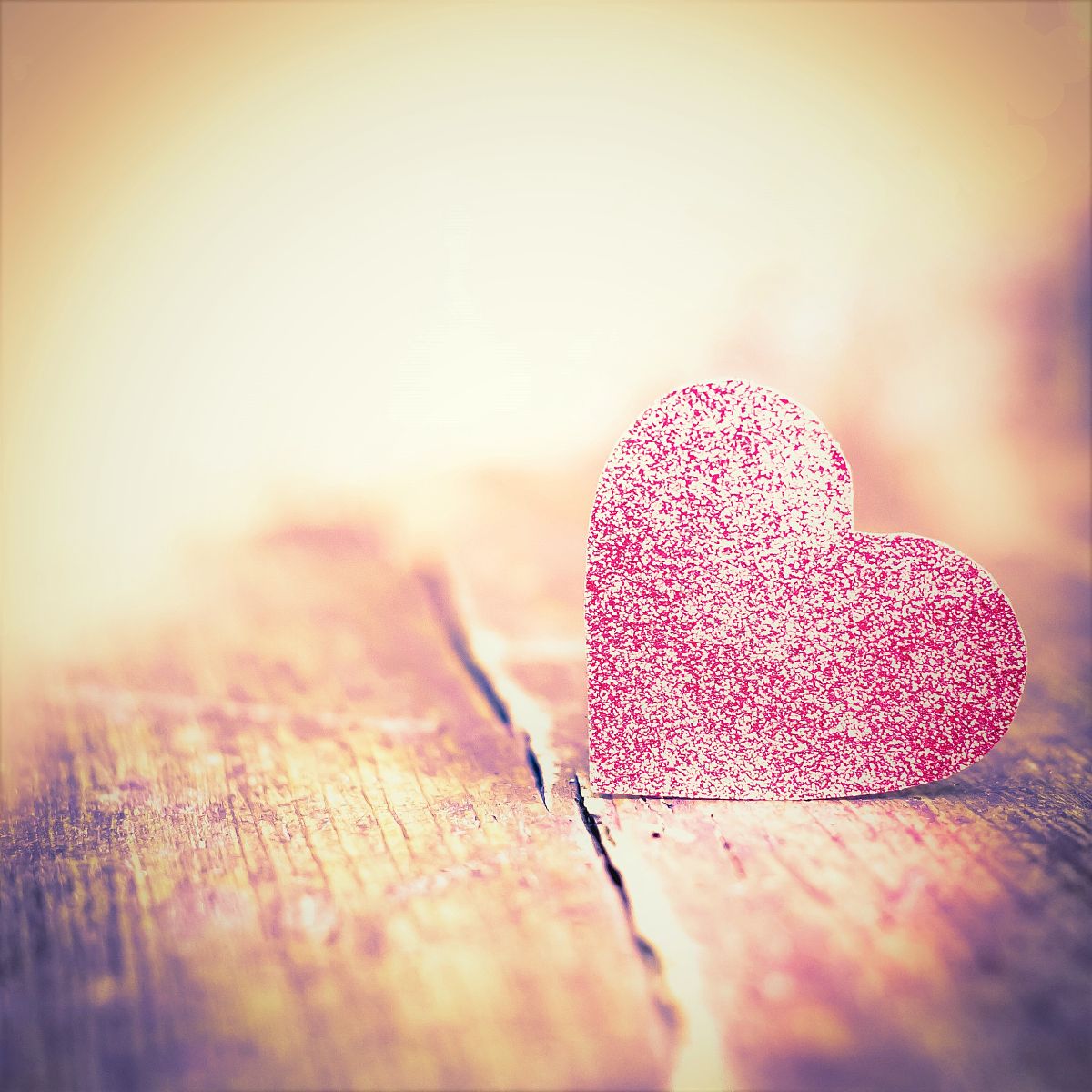 800字求爱的散文