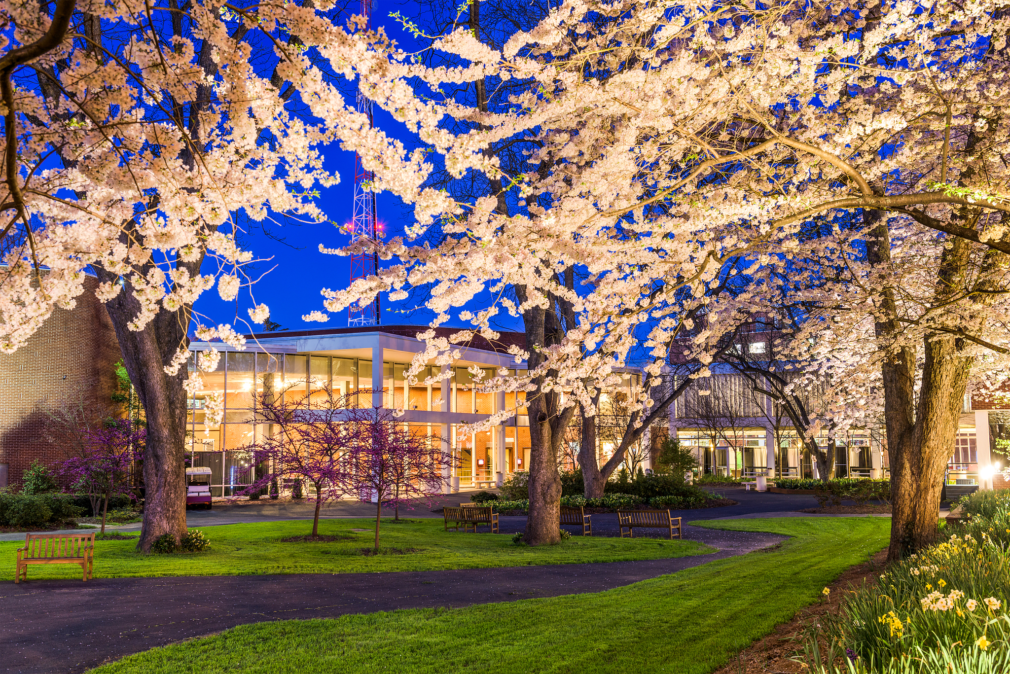 university campus