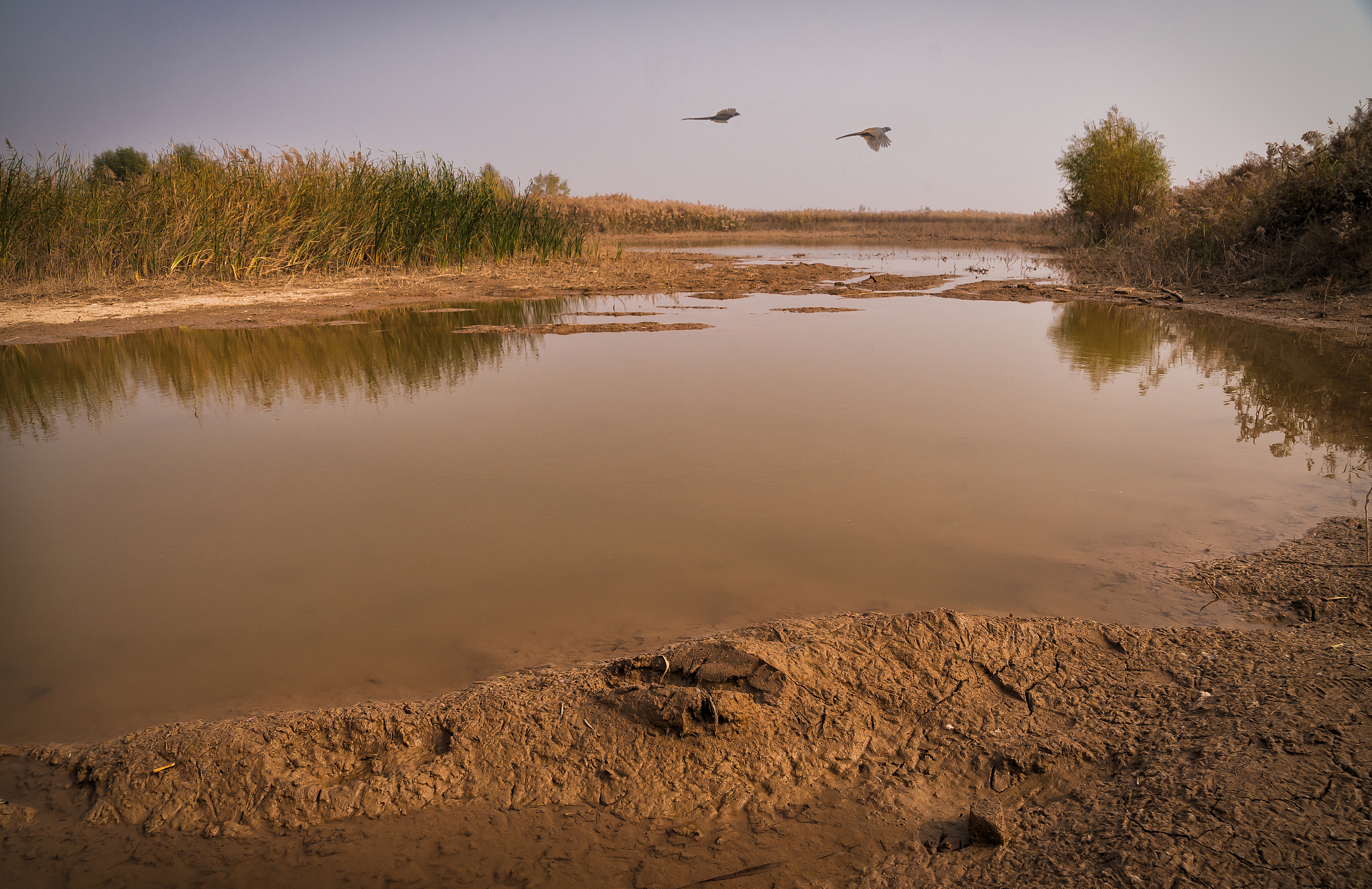 黄河流域生态保护的概念提出背景