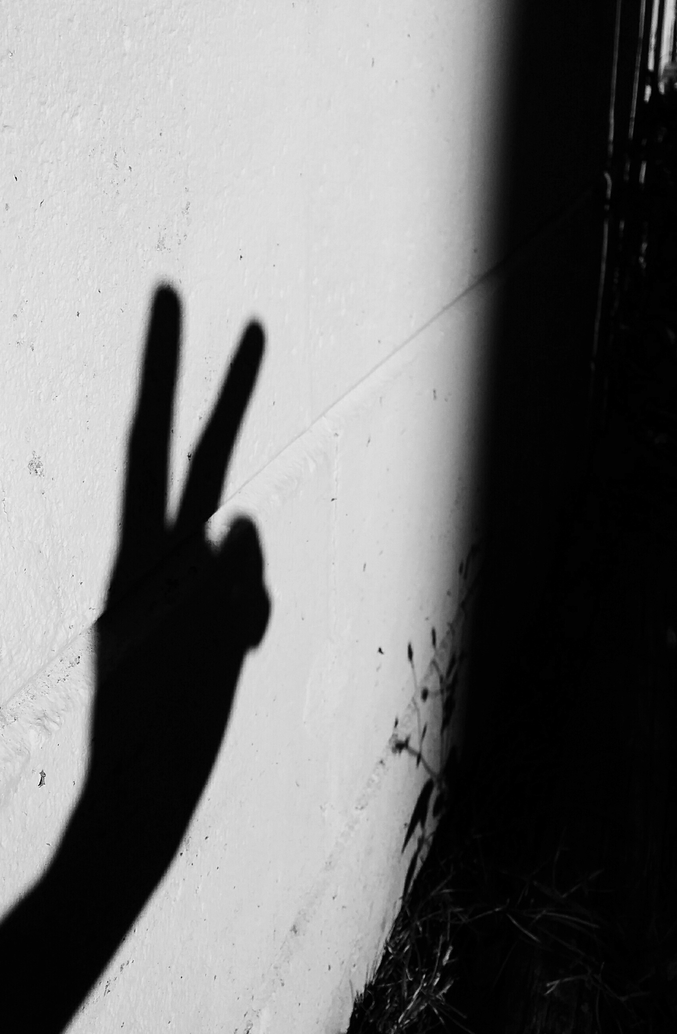 shadow of cropped hand showing peace sign on wall