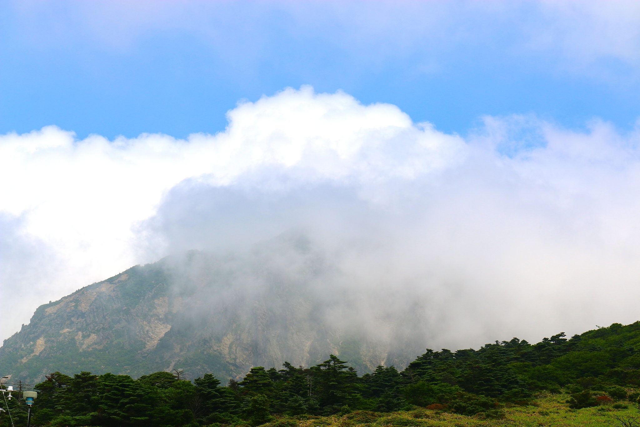 hallasan, mountain, mountain, mountain, forest, mountain, forest