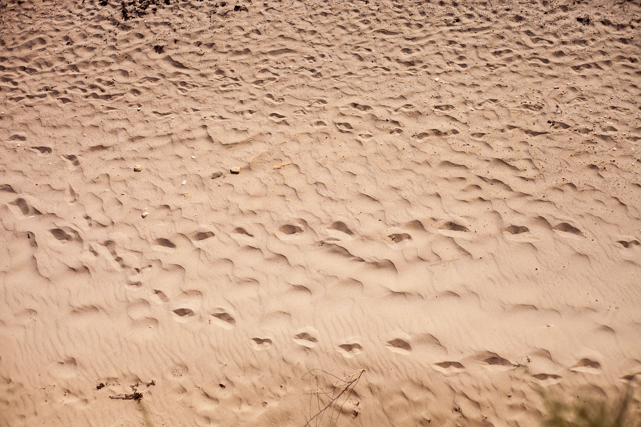 sand beach, background for summer vacations, concept of travel a