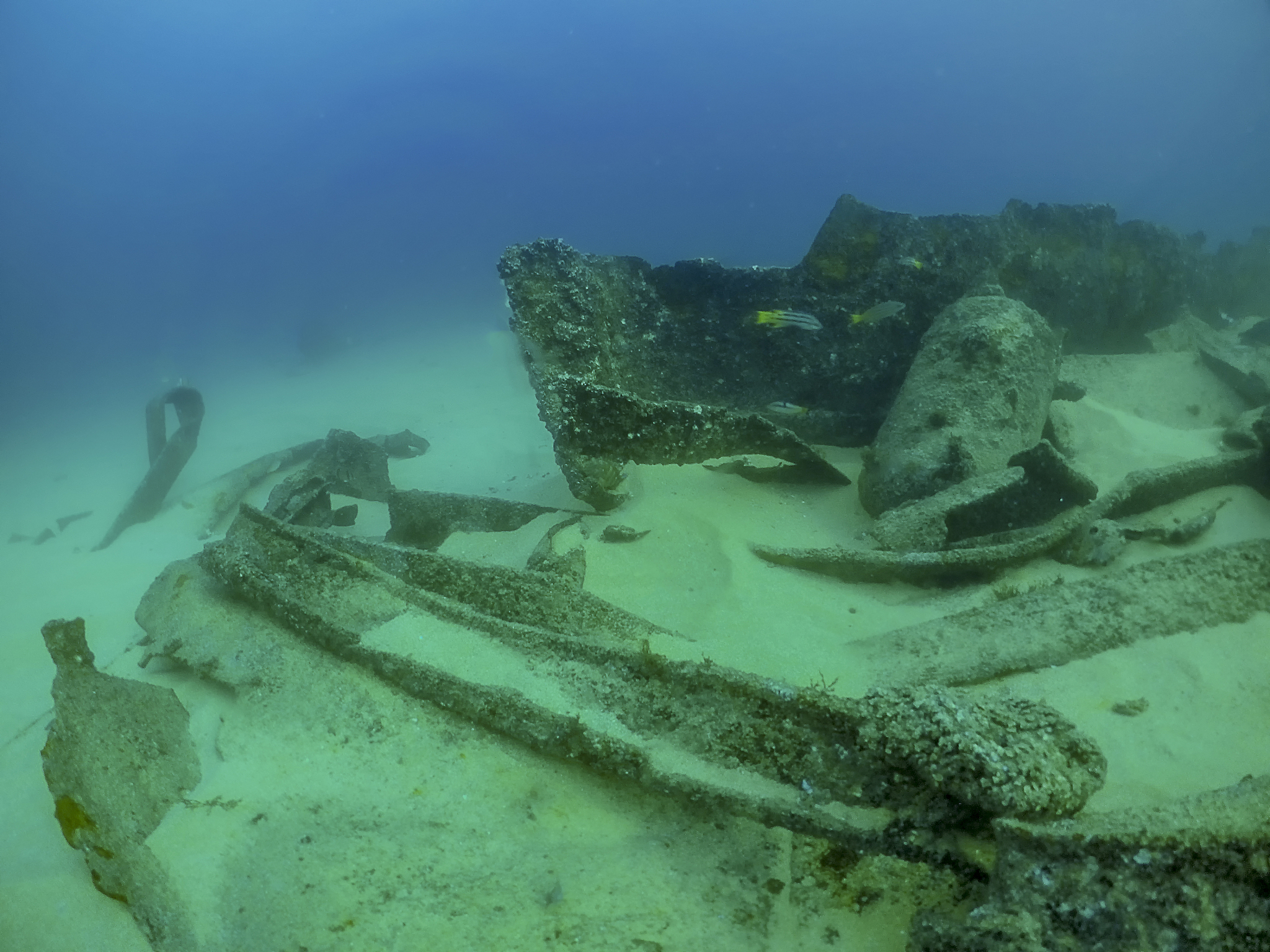 the wreck of the cargo ship lundenberg that sank in 1954 at land