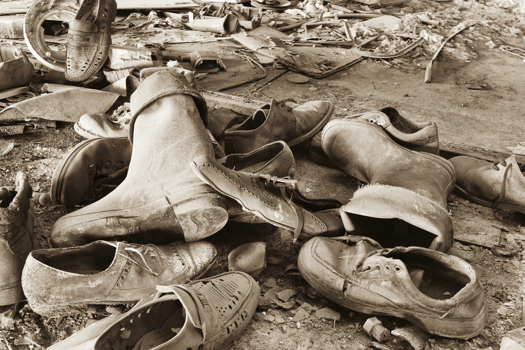 河南大饥荒死亡人数：真相与争议