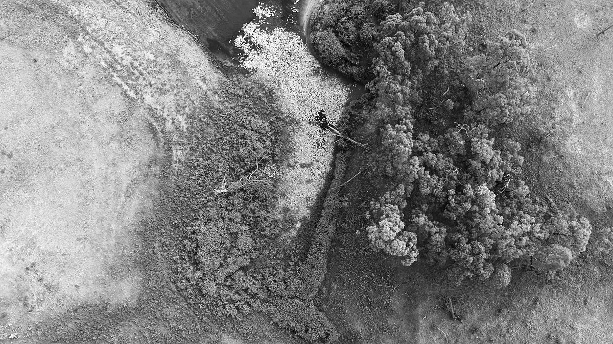 拉墨点：绘画中的阴影和灰度技巧