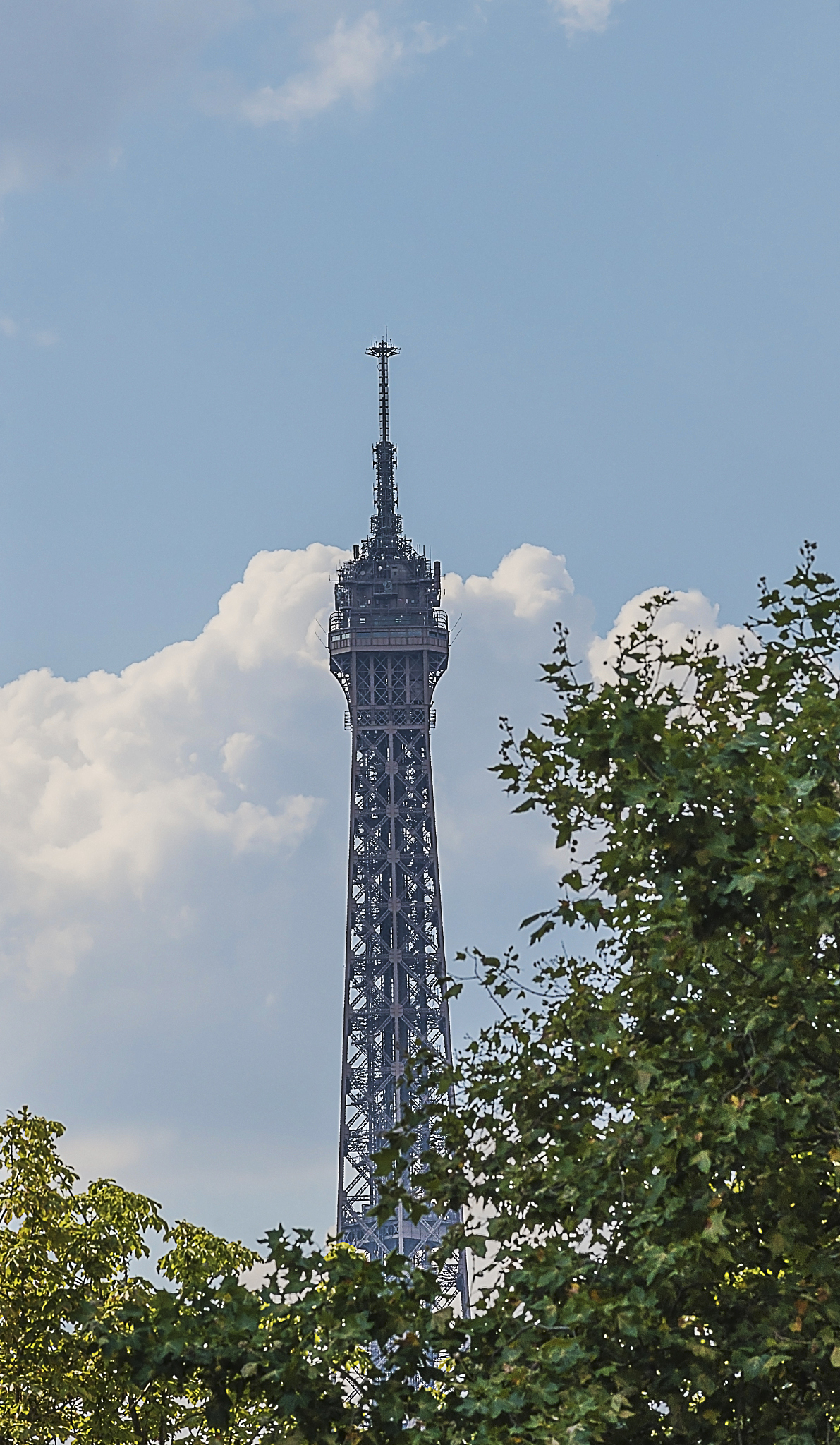 太原旅游职业学院有什么专业有空中乘务专业吗
