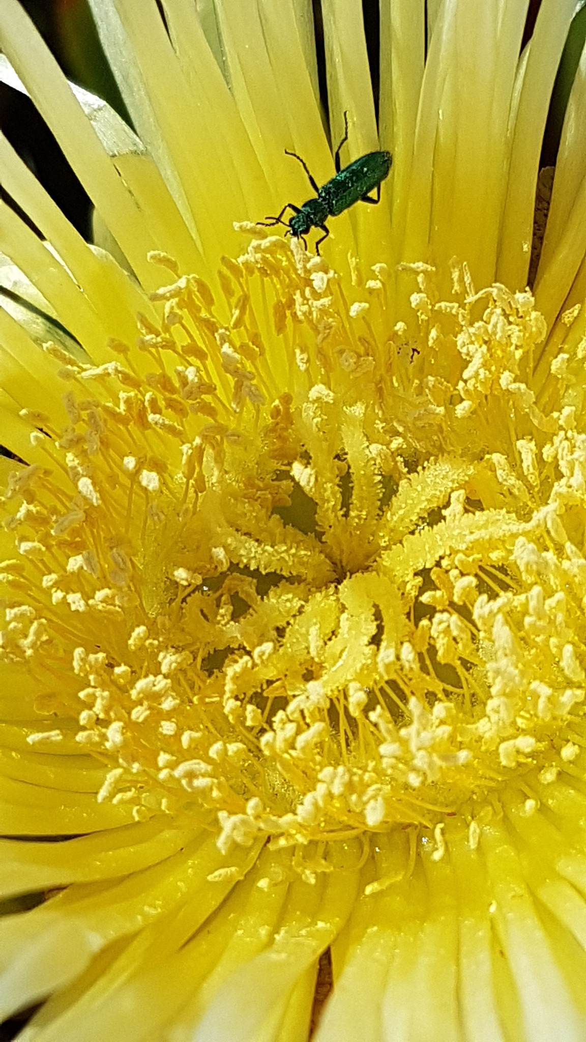 更新BIOS能清理BIOS木马吗？ | 清除BIOS恶意软件指南